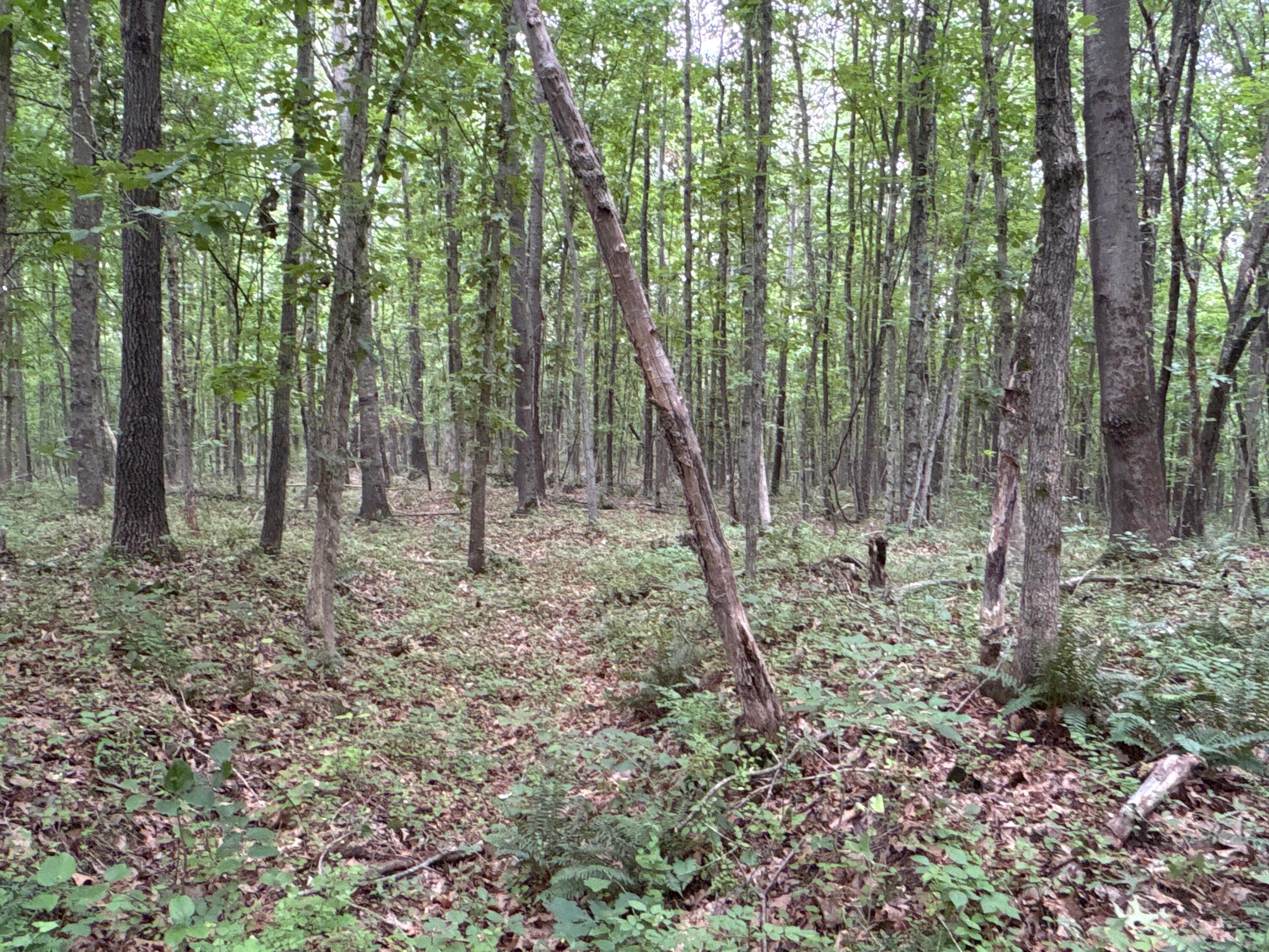 0 Township Road 532 Property Photo 9