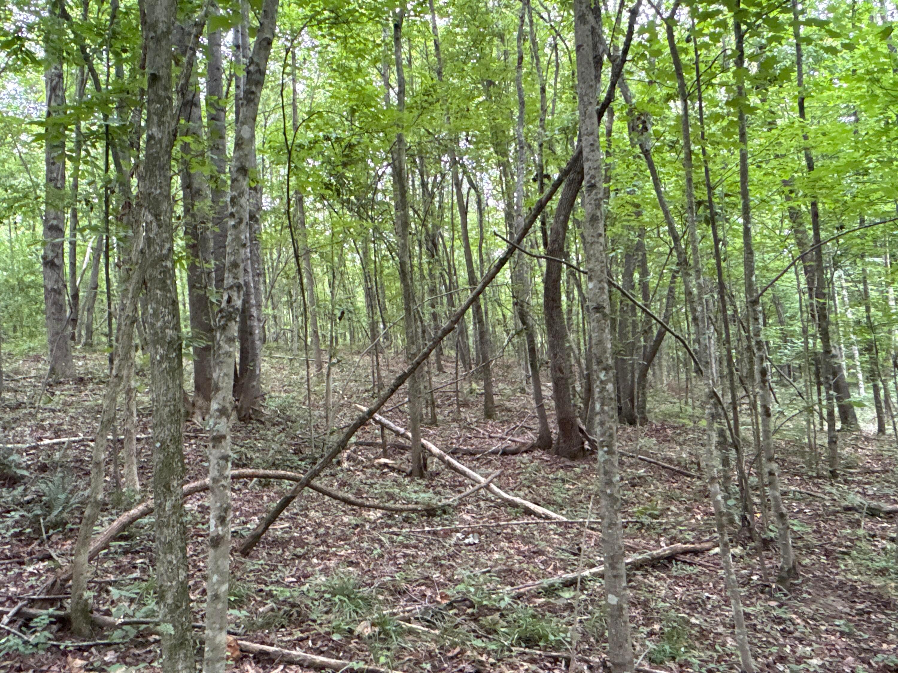 0 Township Road 532 Property Photo 10