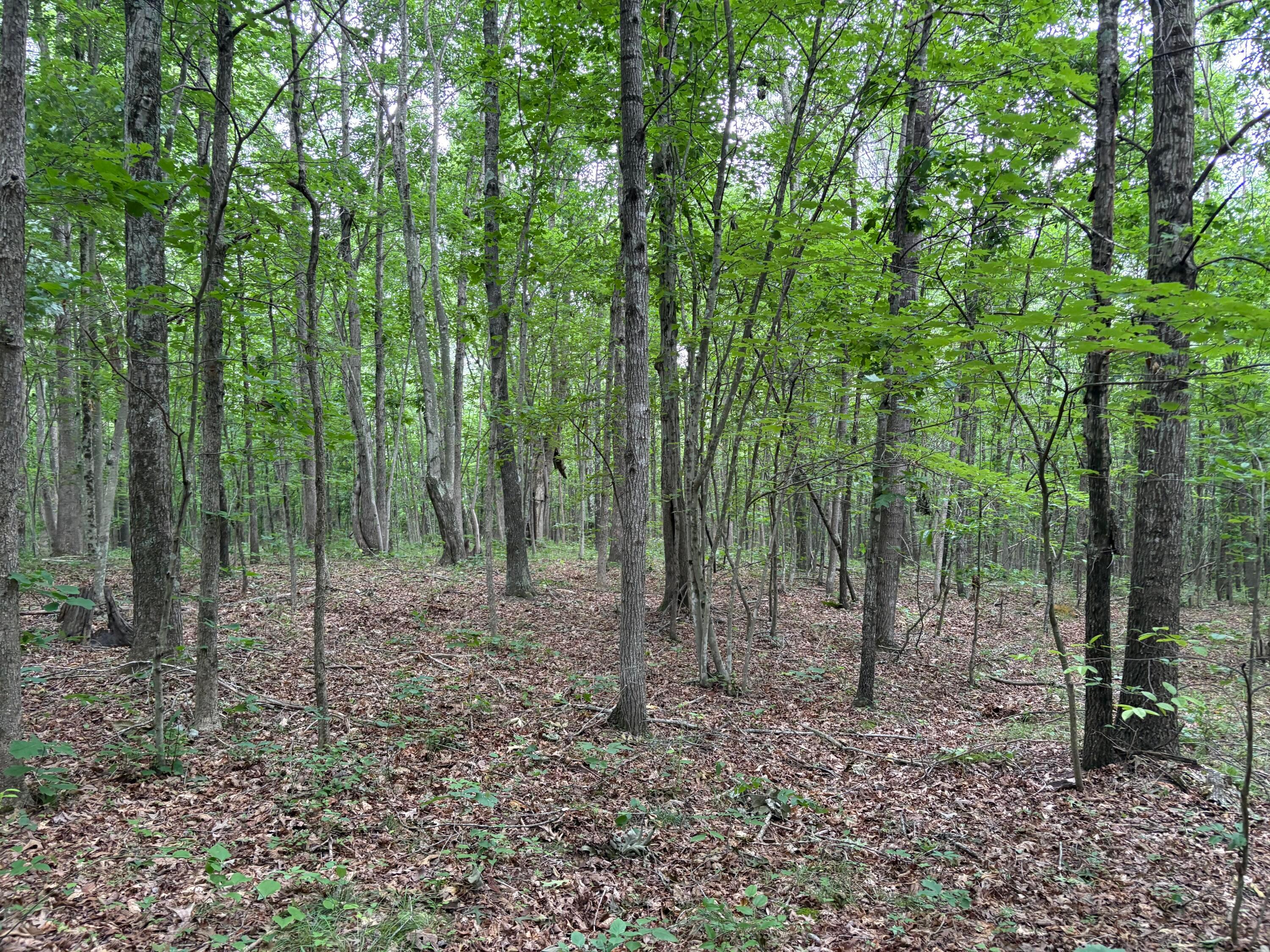 0 Township Road 532 Property Photo 14