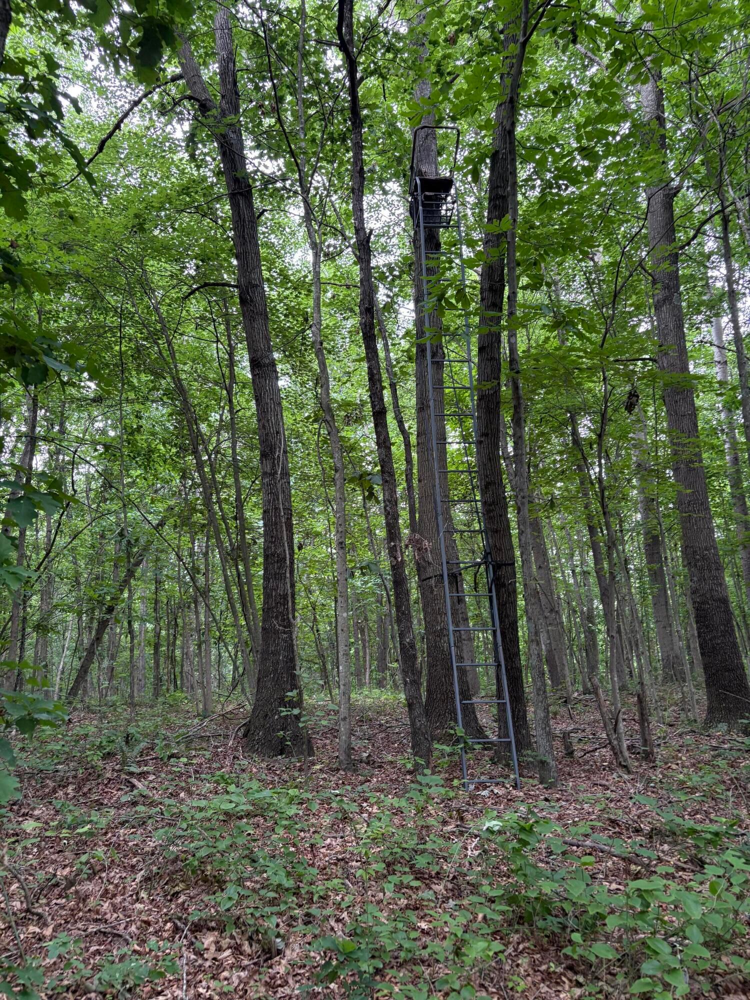 0 Township Road 532 Property Photo 15