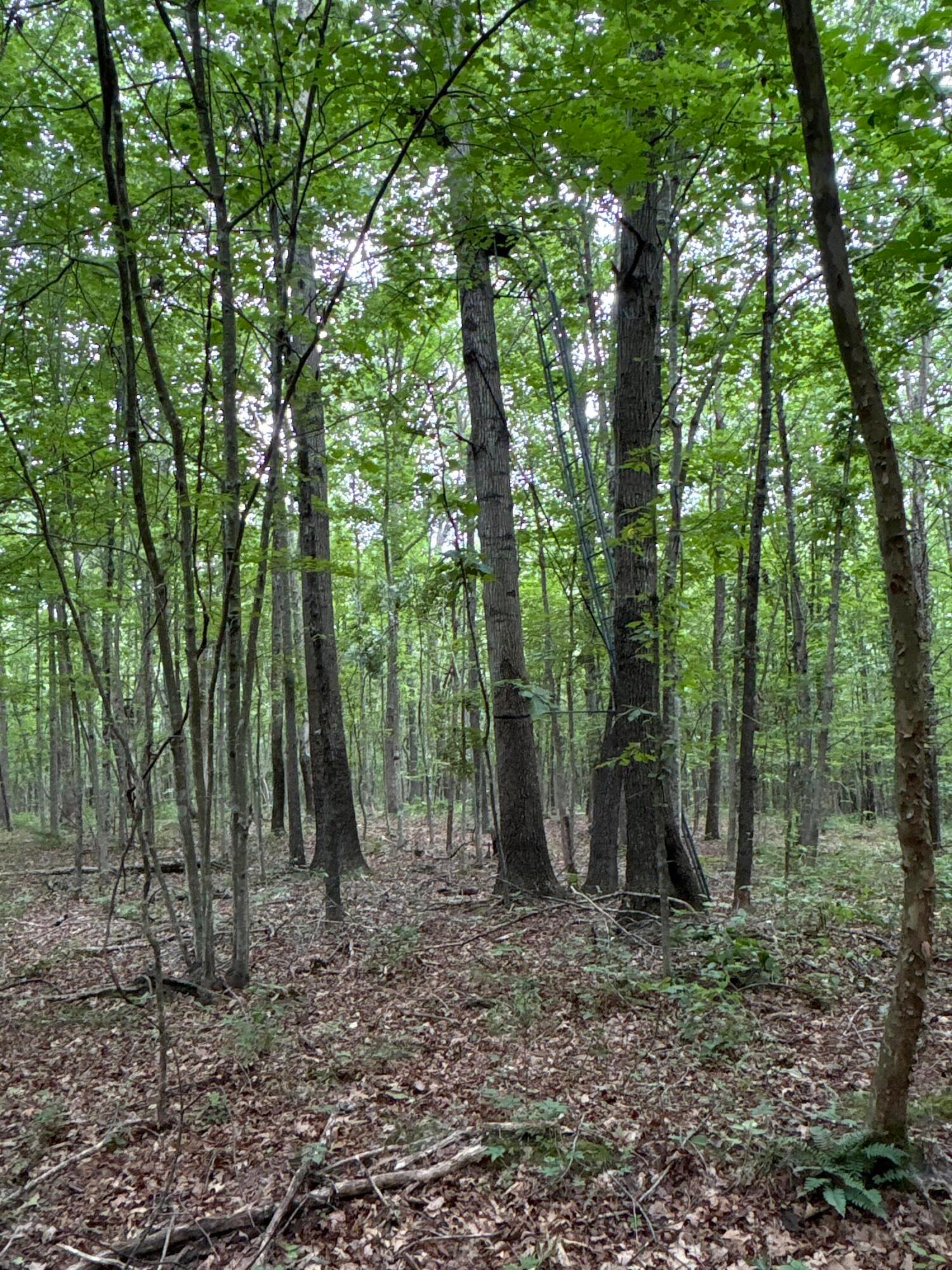 0 Township Road 532 Property Photo 16