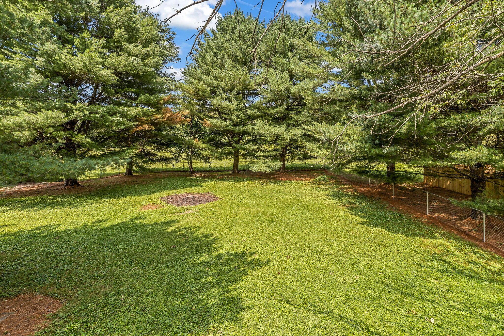 3840 Pleasant Chapel Road Se Property Photo 5