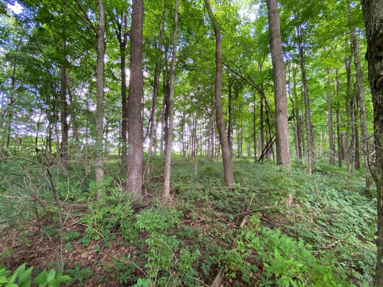 1010 W Herr Road Property Photo 44