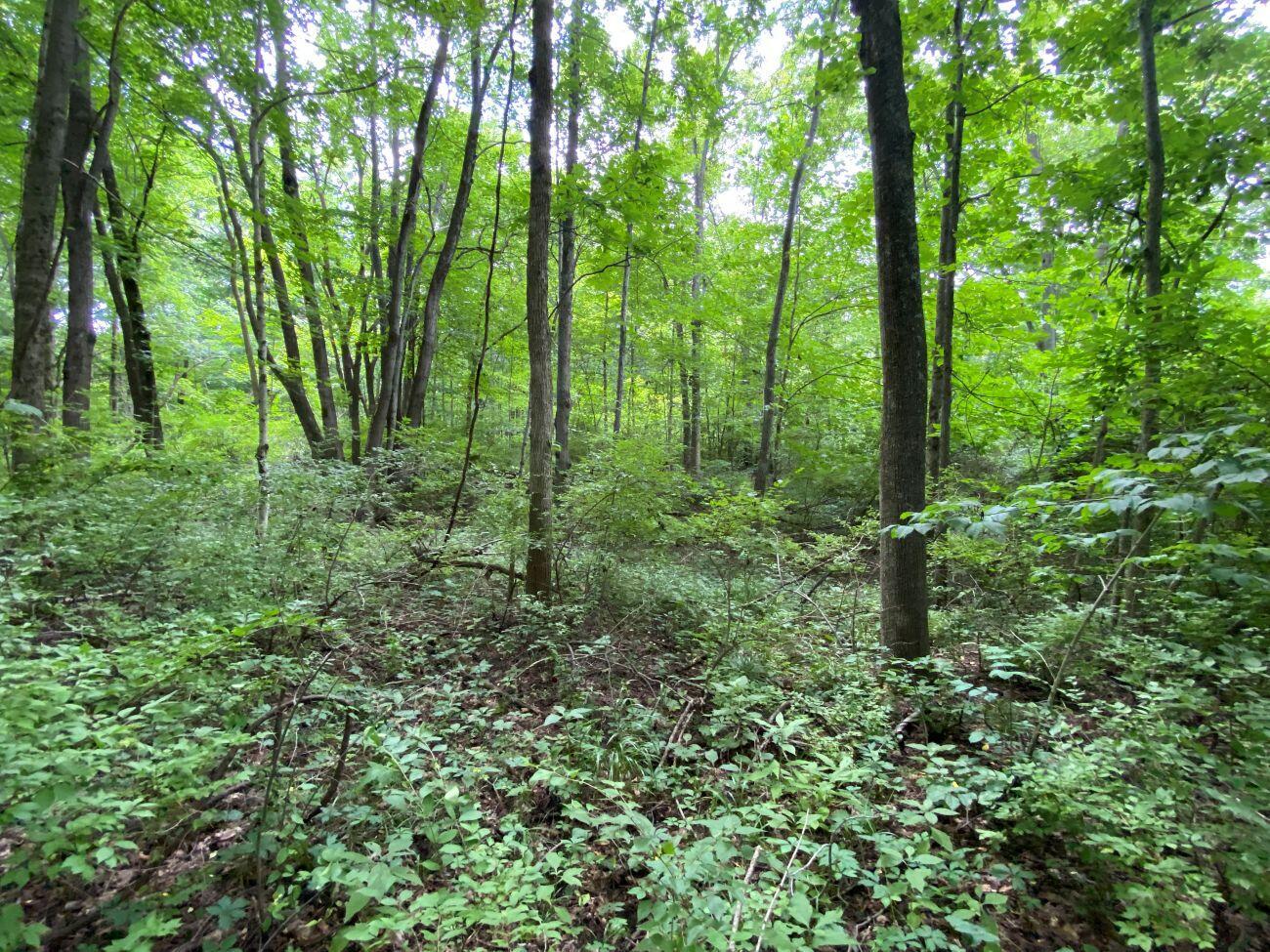 1010 W Herr Road Property Photo 46