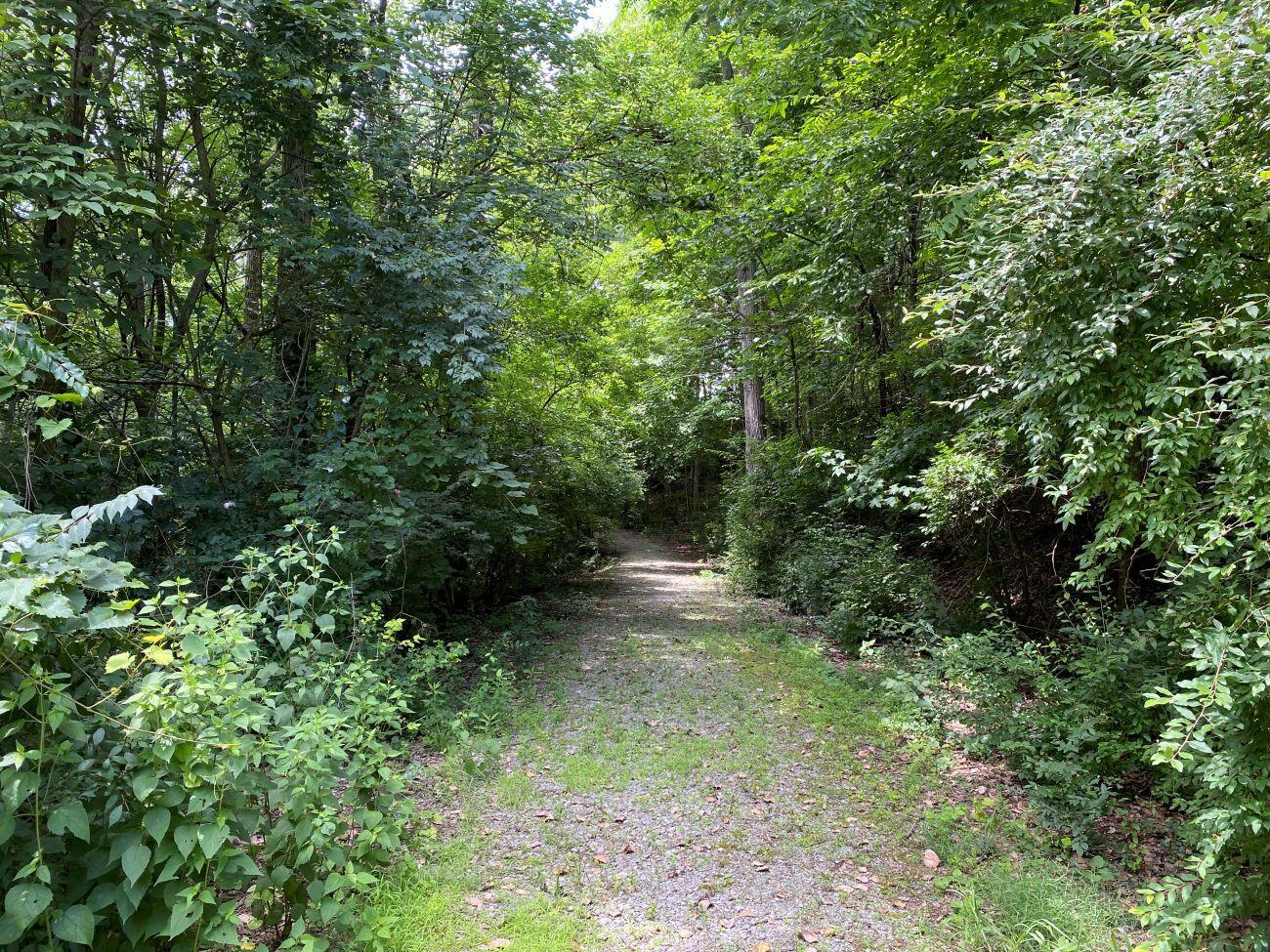 1010 W Herr Road Property Photo 48