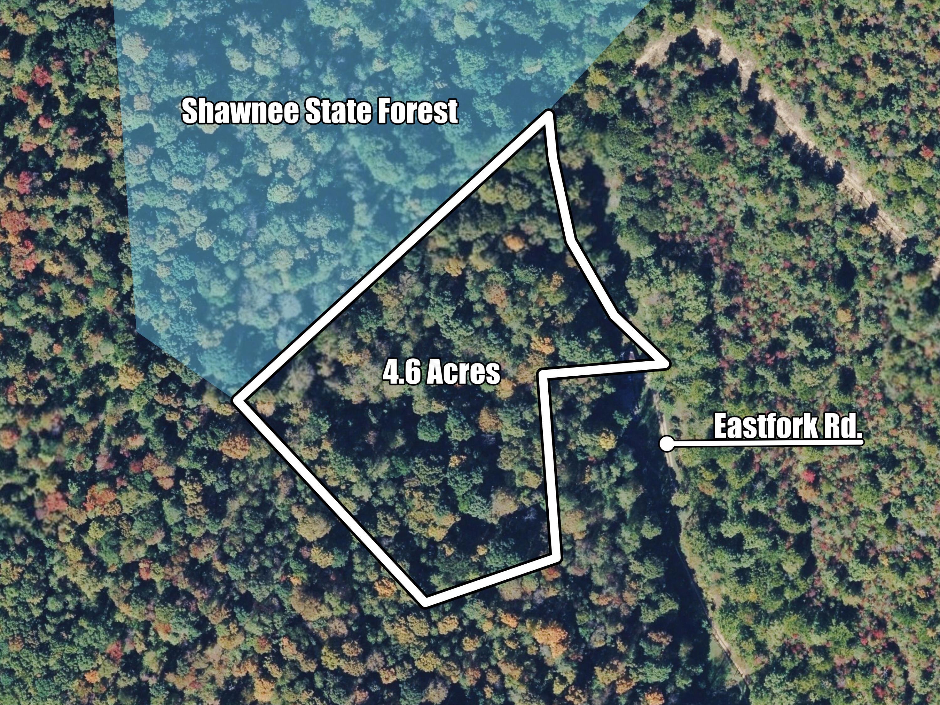 0 East Fork Pond Run Rd Property Photo 1