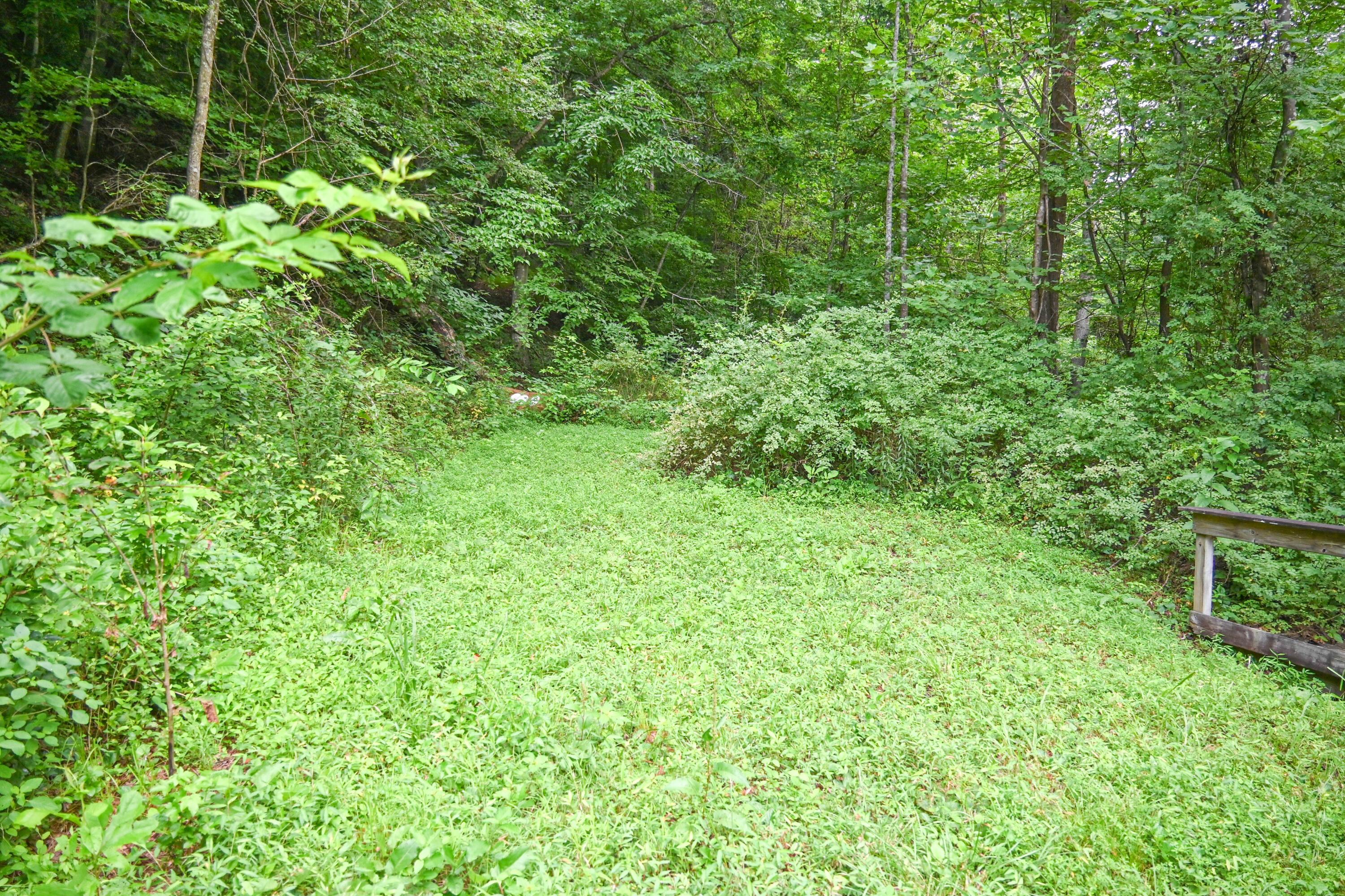 0 East Fork Pond Run Rd Property Photo 5