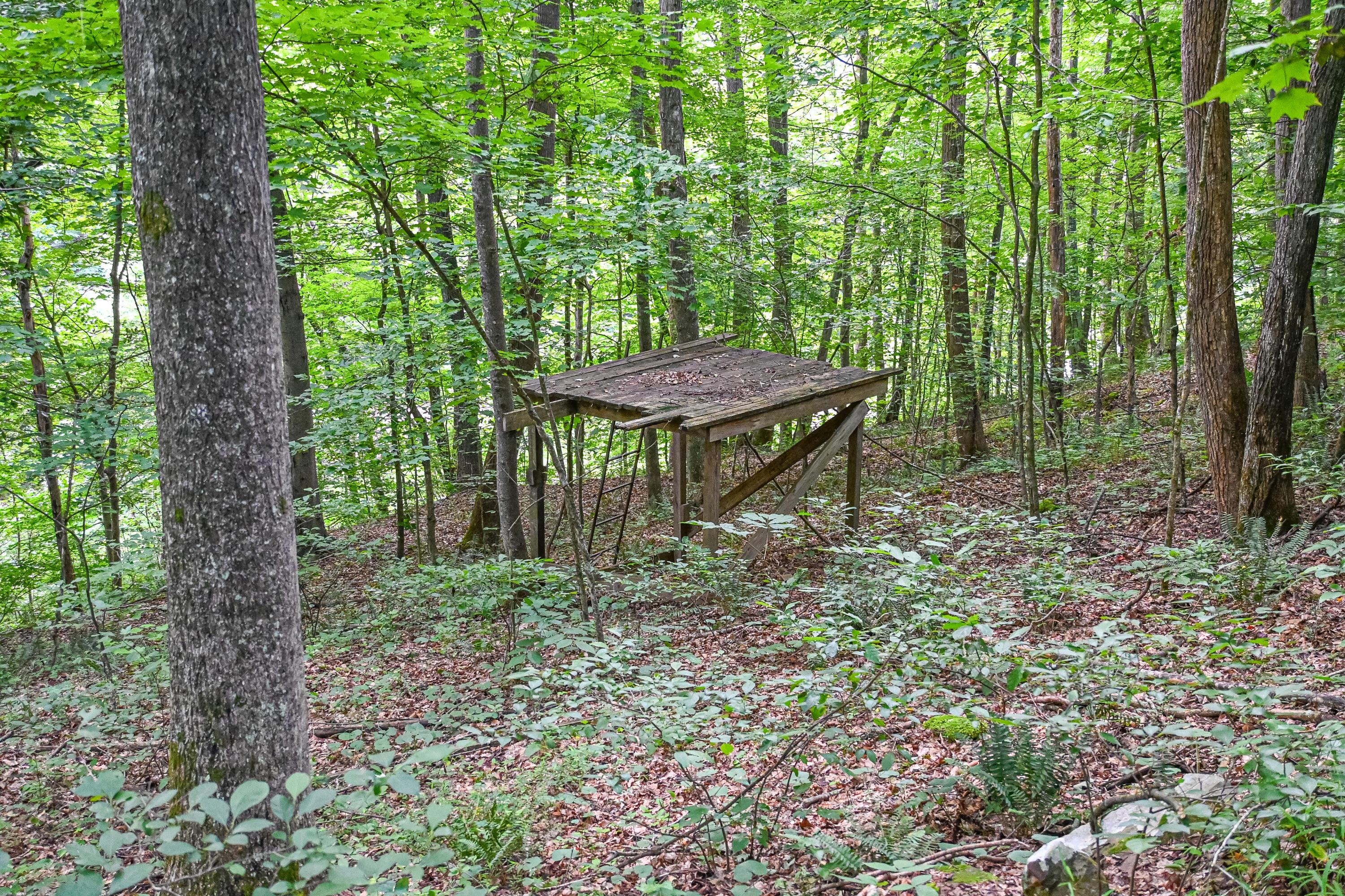 0 East Fork Pond Run Rd Property Photo 8