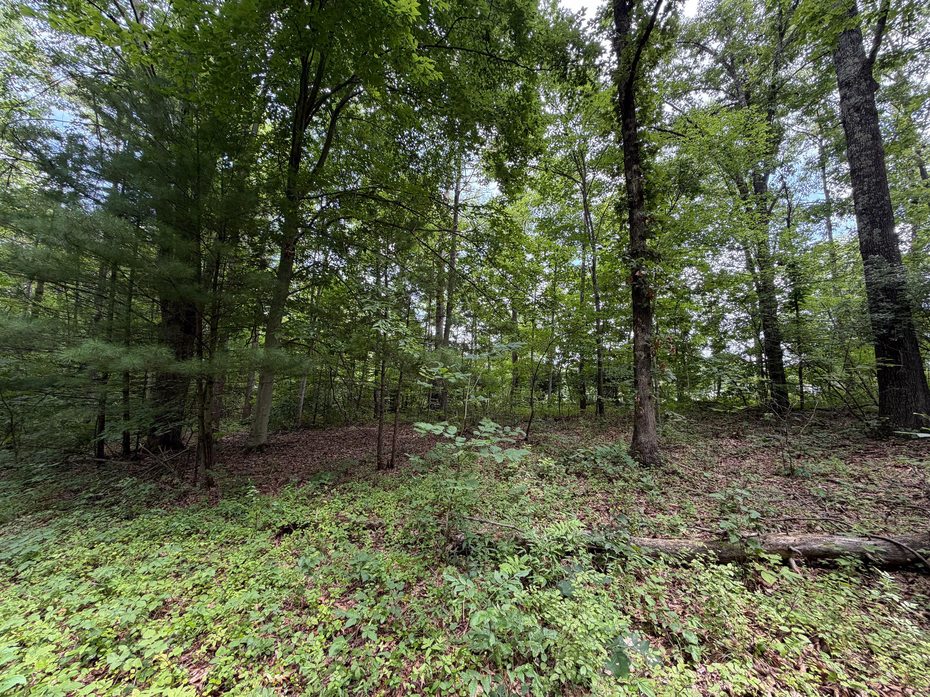 0 Gun Club Road Property Photo 19