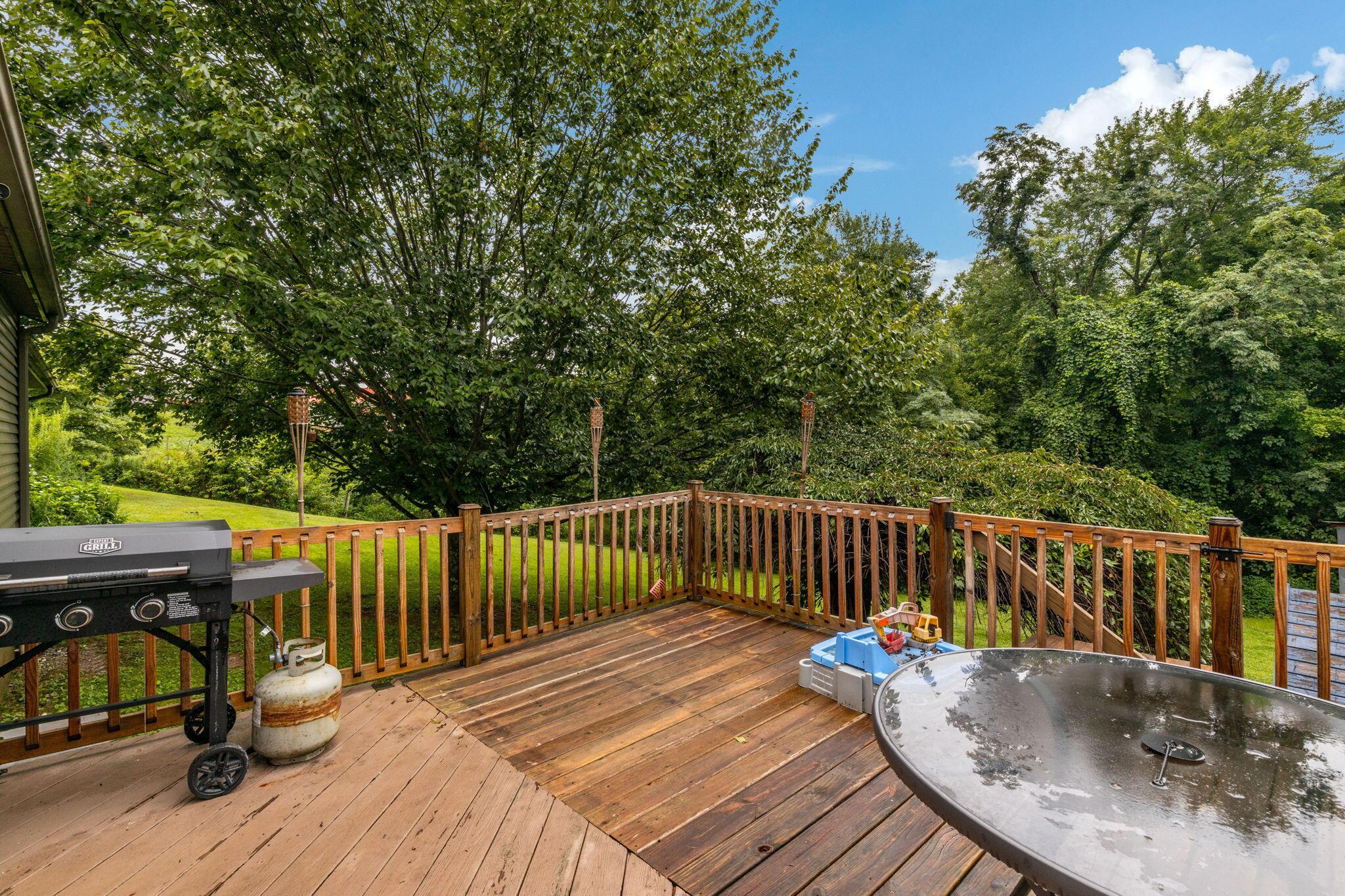 3577 Roadside Park Road Property Photo 45