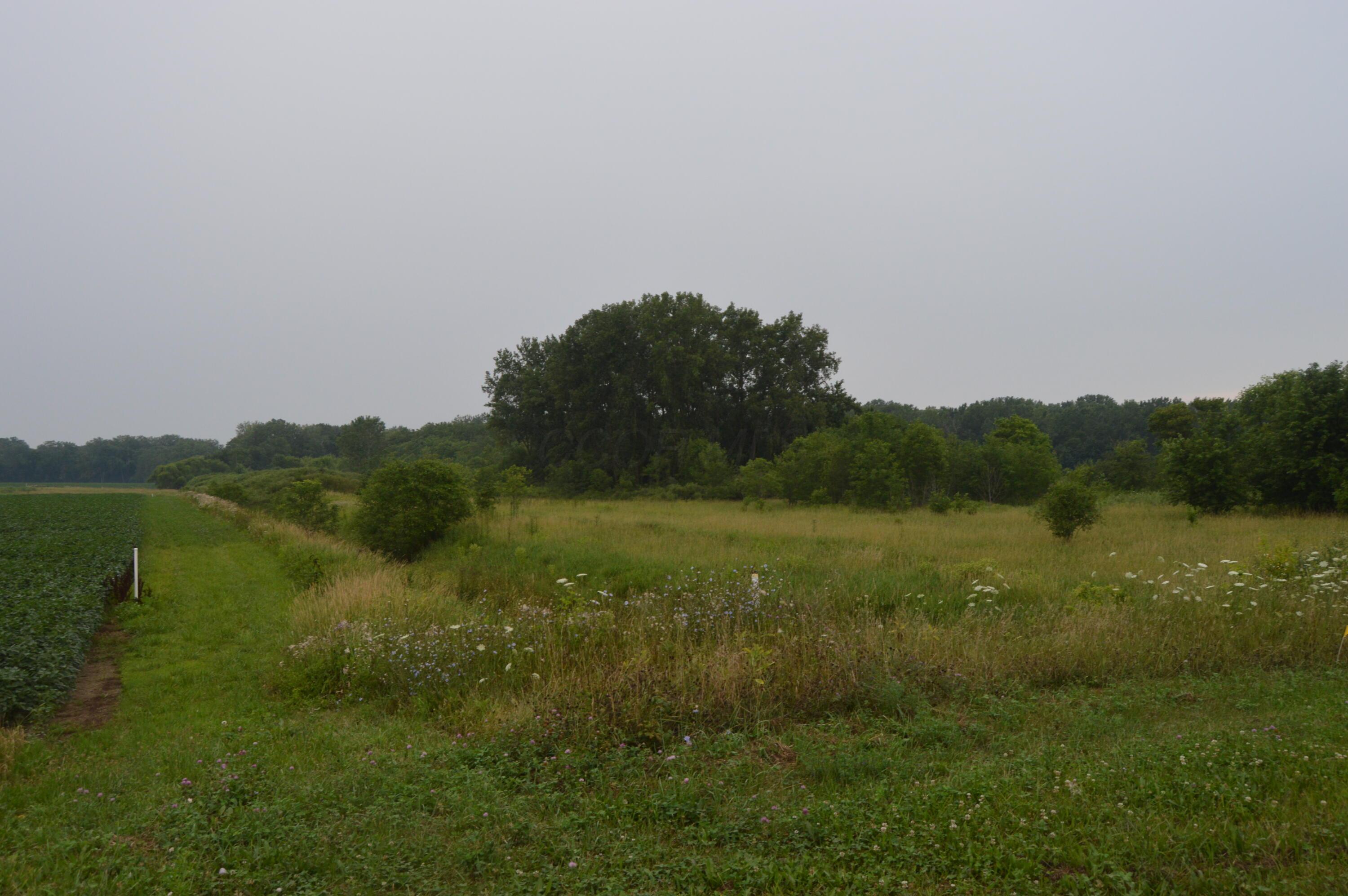 0 County Road 23