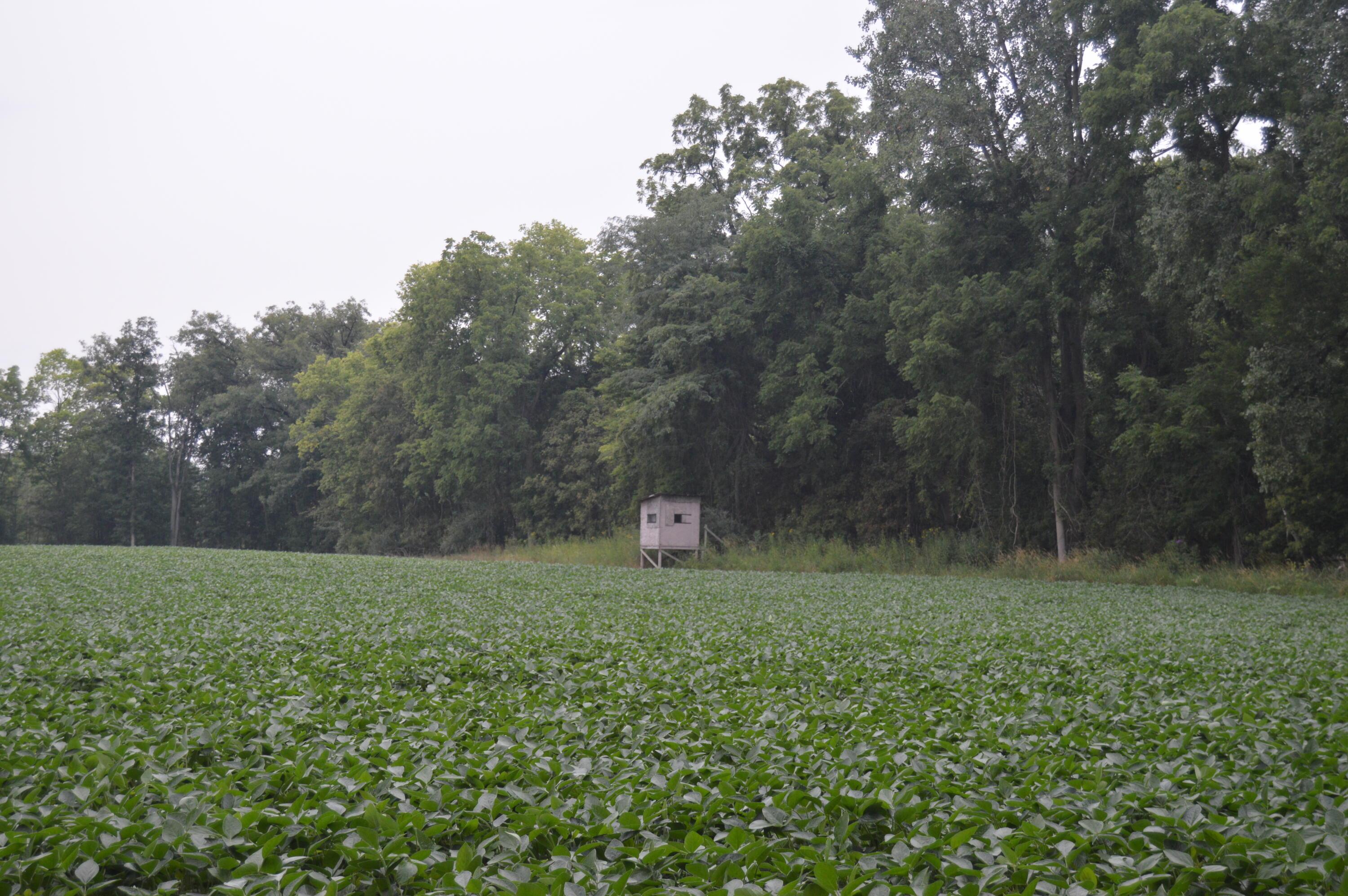 0 County Road 23 Property Photo 2
