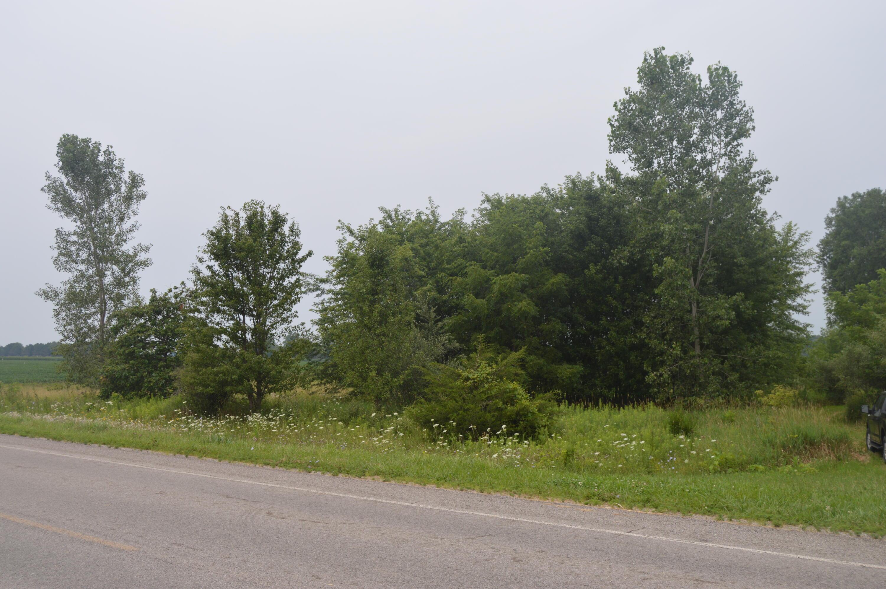 0 County Road 23 Property Photo 5