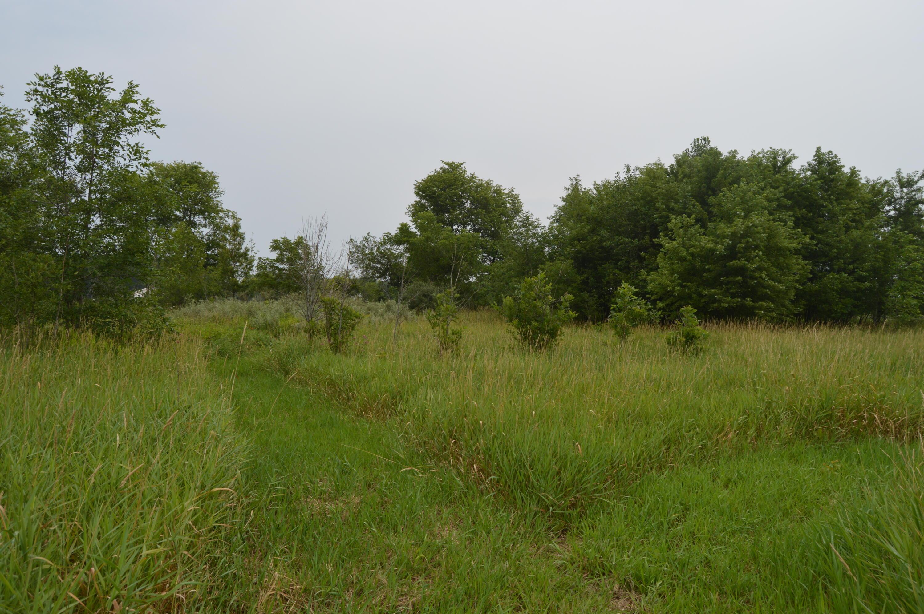 0 County Road 23 Property Photo 9