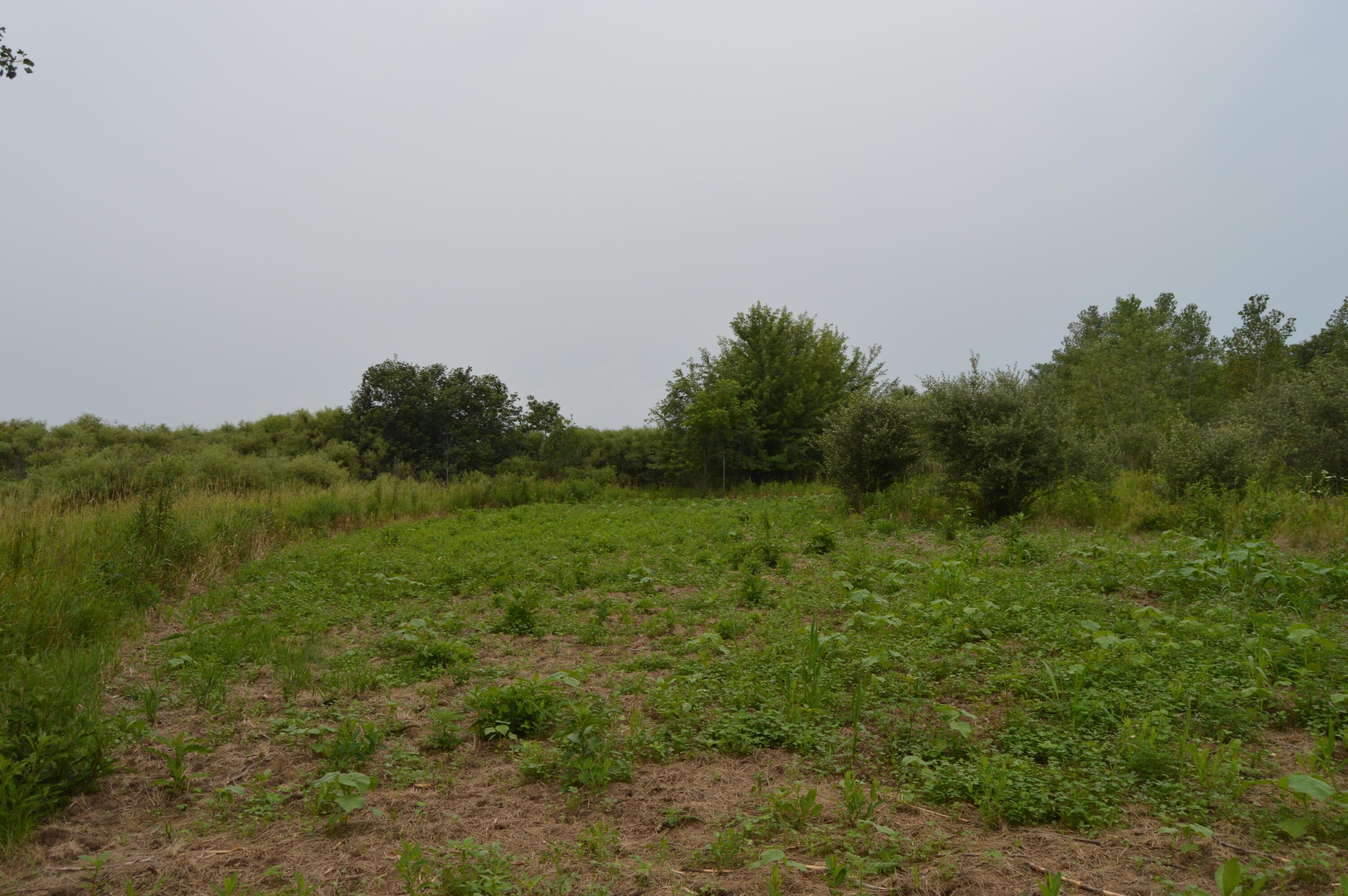 0 County Road 23 Property Photo 10