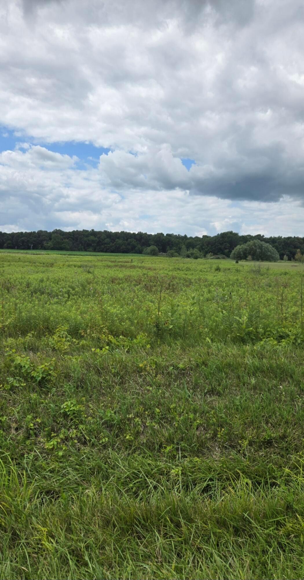 26065 Lunda Road Property Photo 1