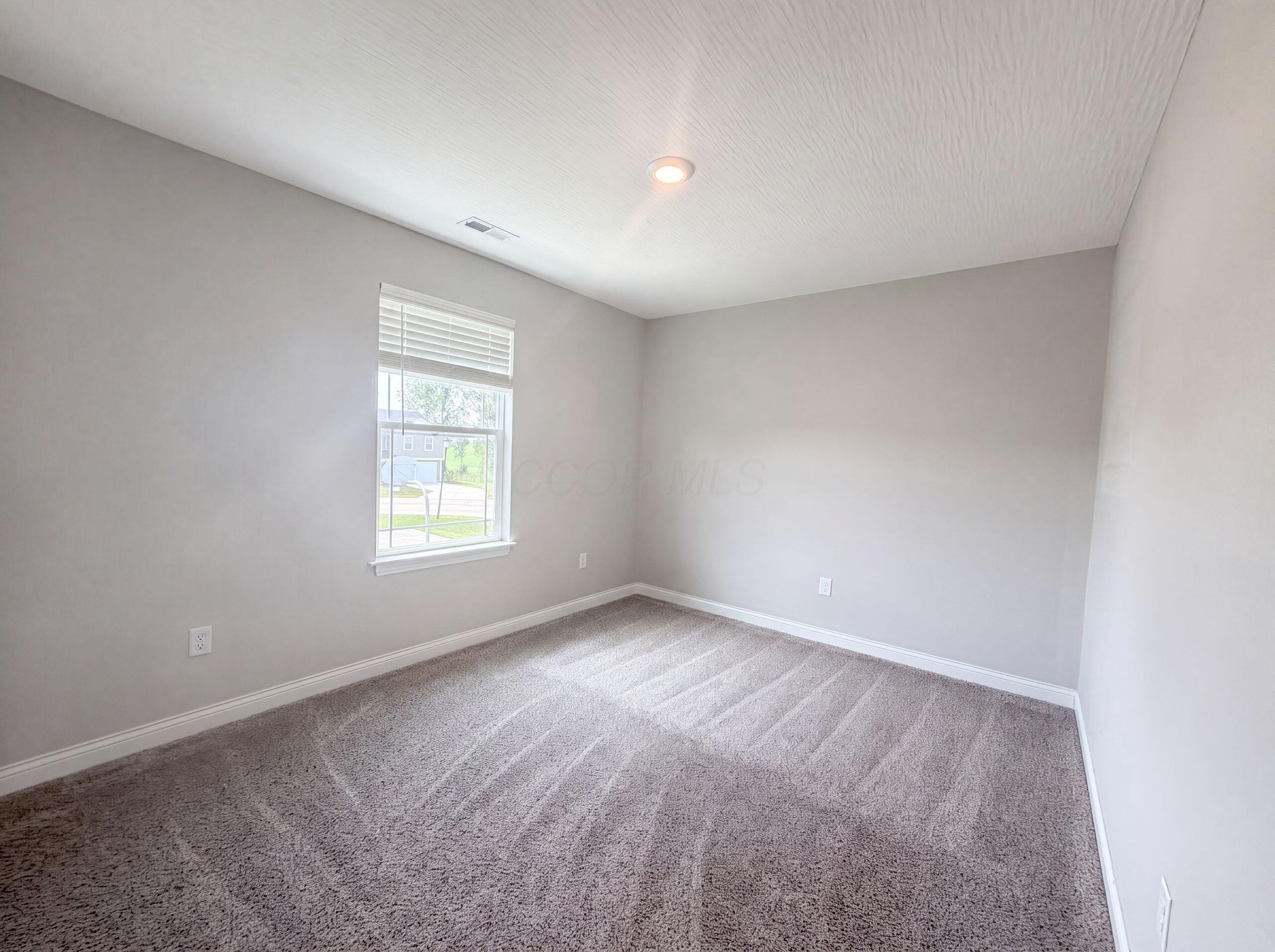 317 Genoa Road Property Photo 24
