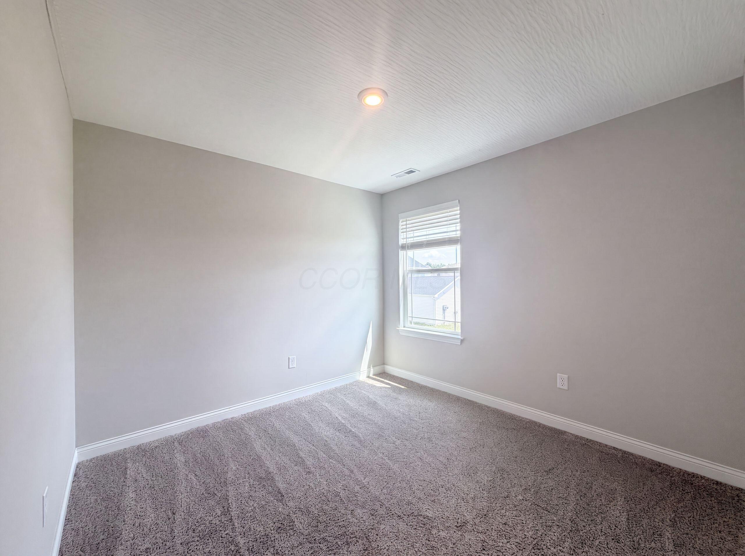 317 Genoa Road Property Photo 28