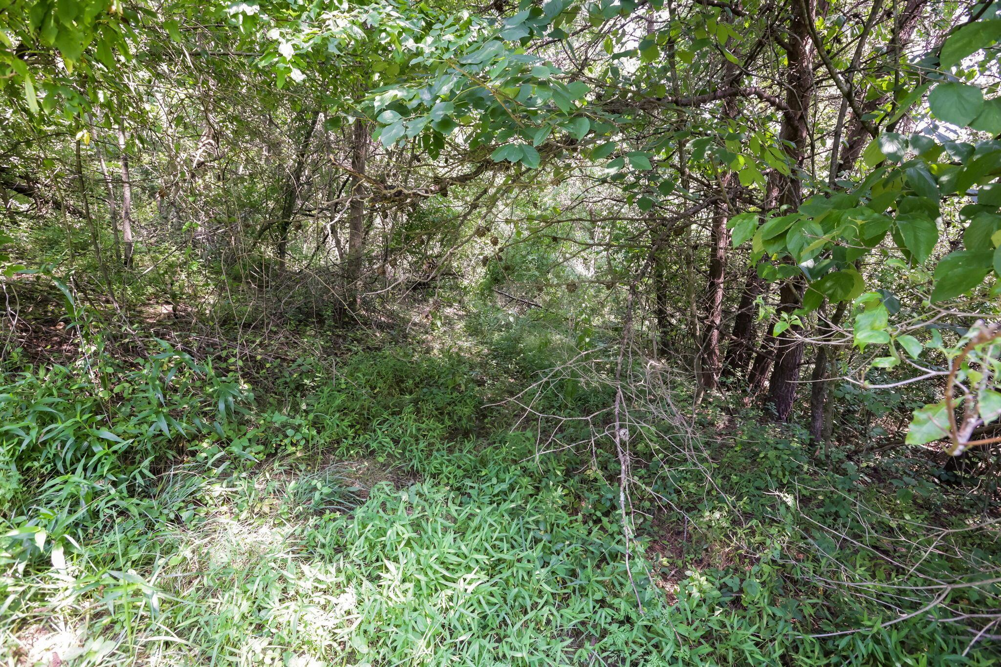 5595 Sheets Road Property Photo 63