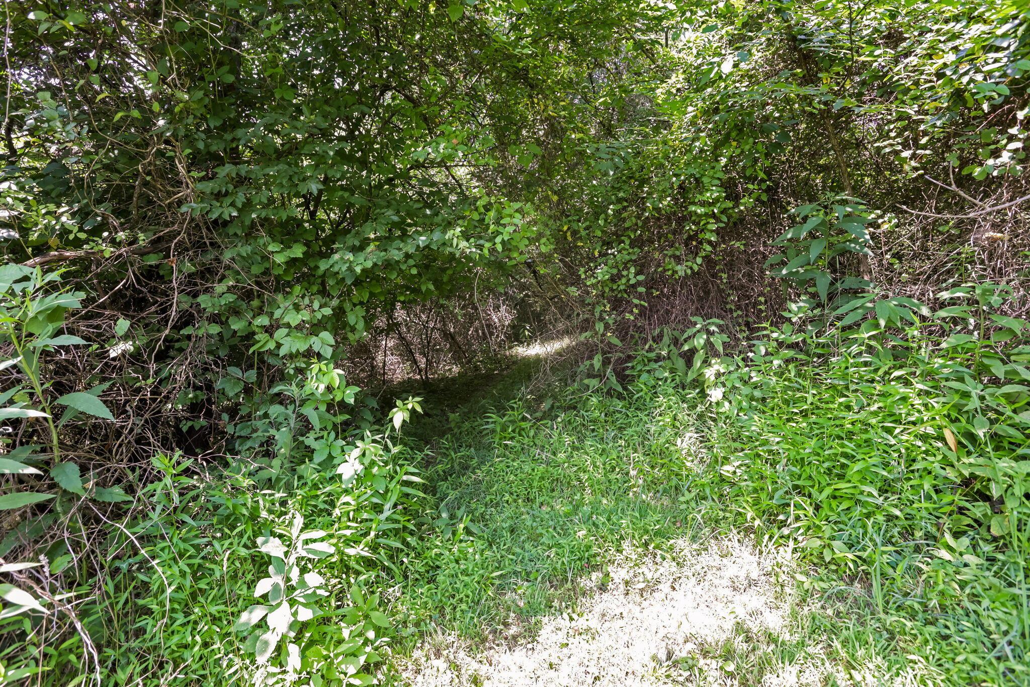 5595 Sheets Road Property Photo 65