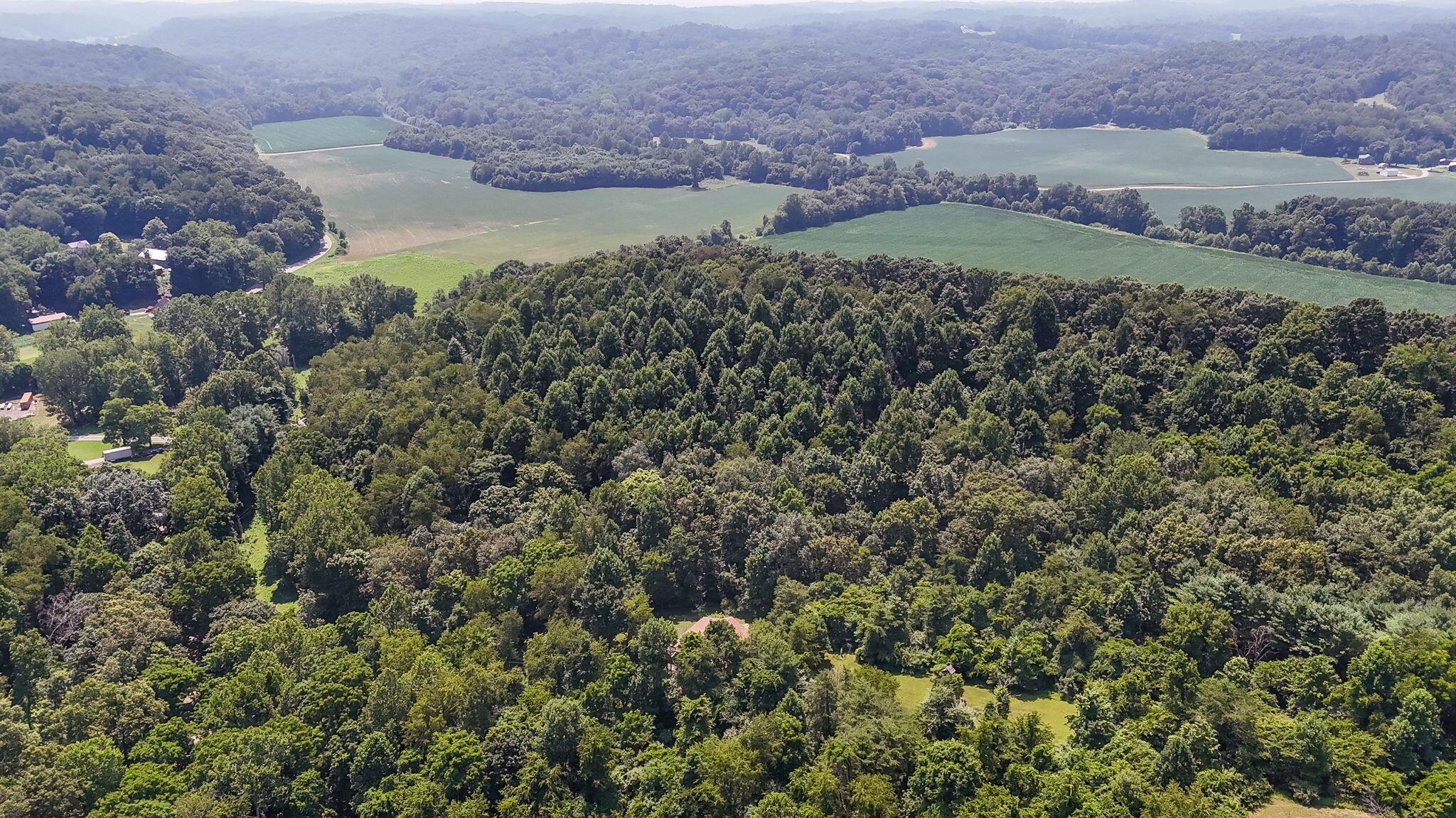 5595 Sheets Road Property Photo 74
