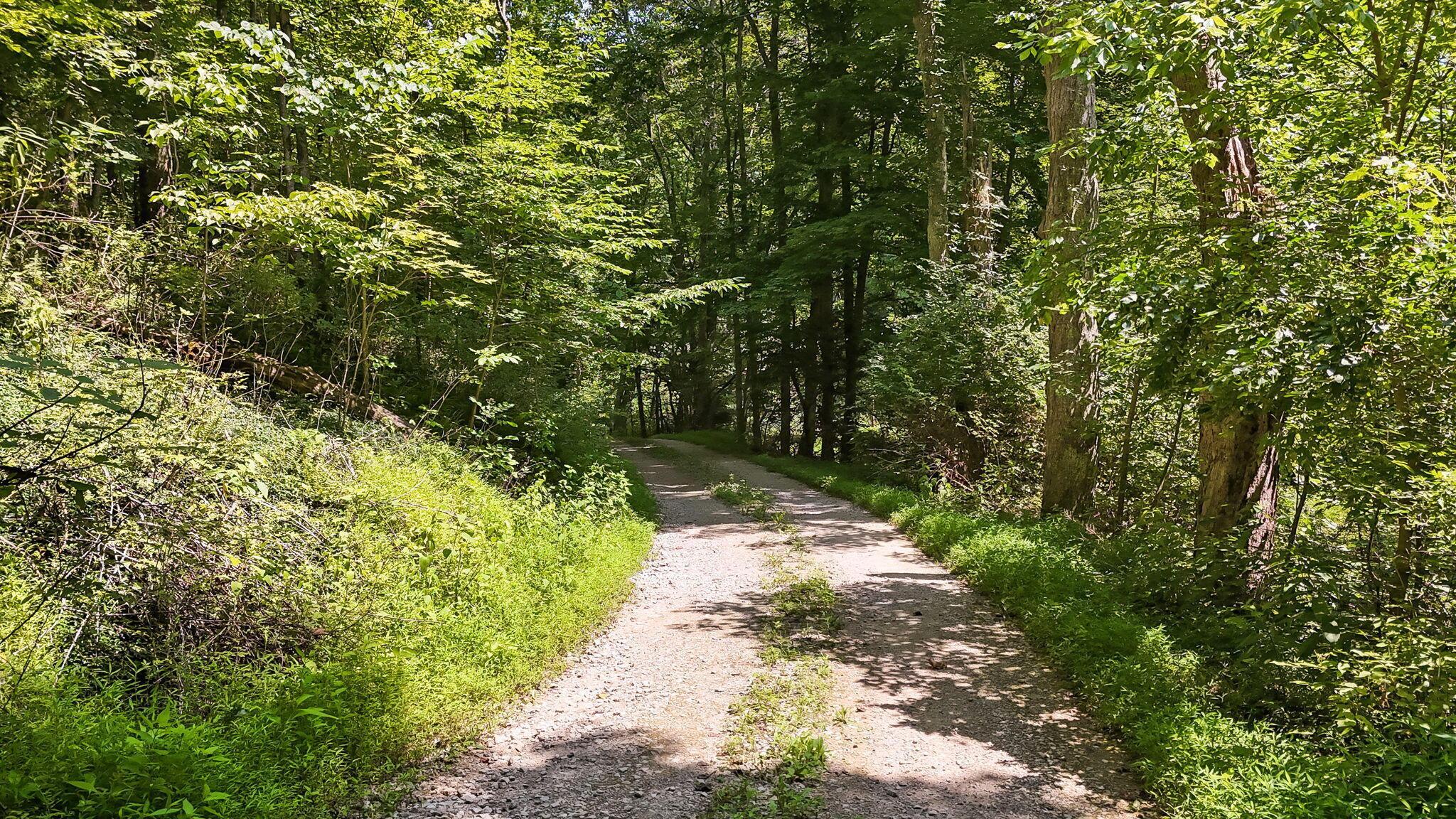 5595 Sheets Road Property Photo 86