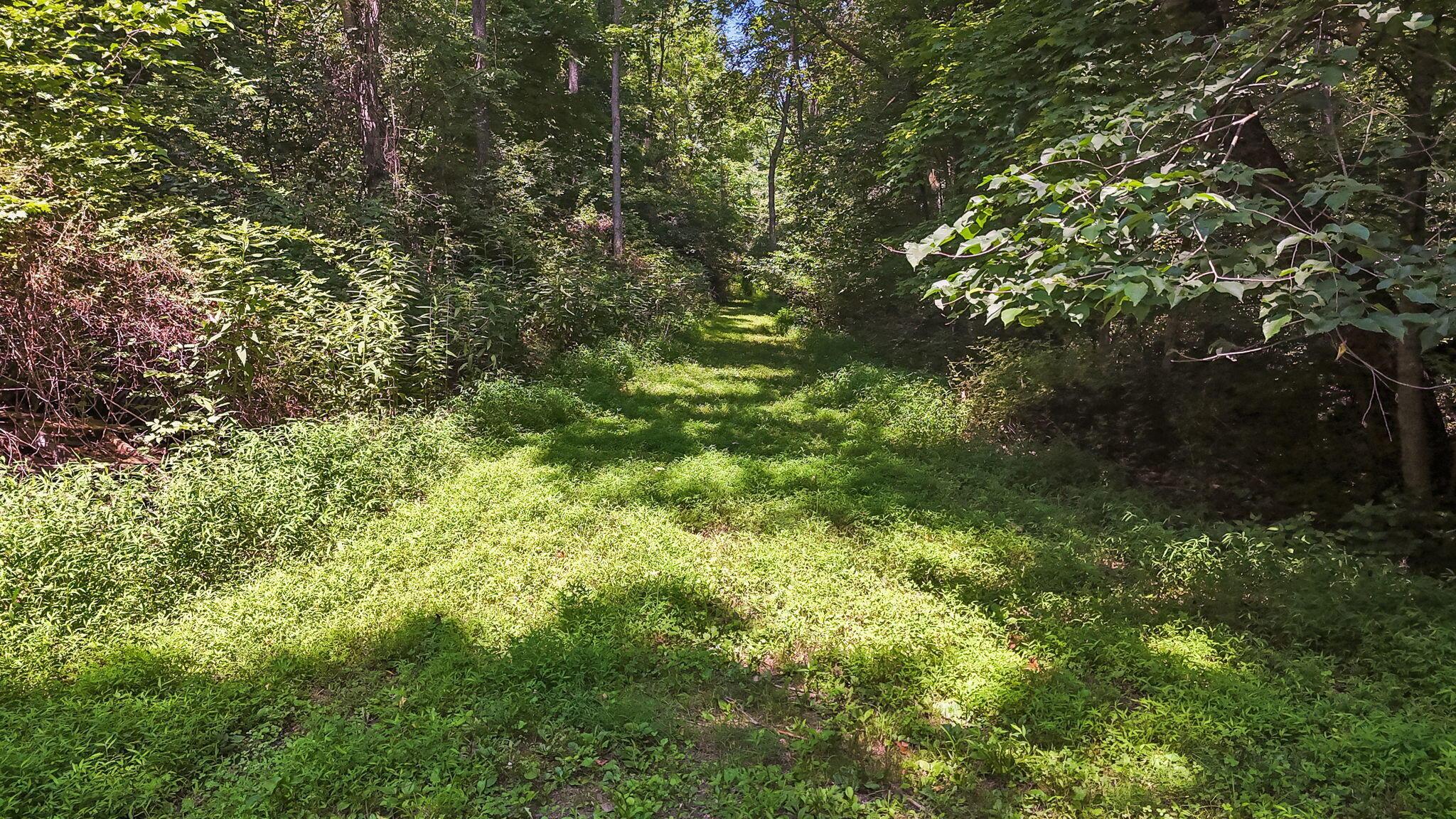 5595 Sheets Road Property Photo 89