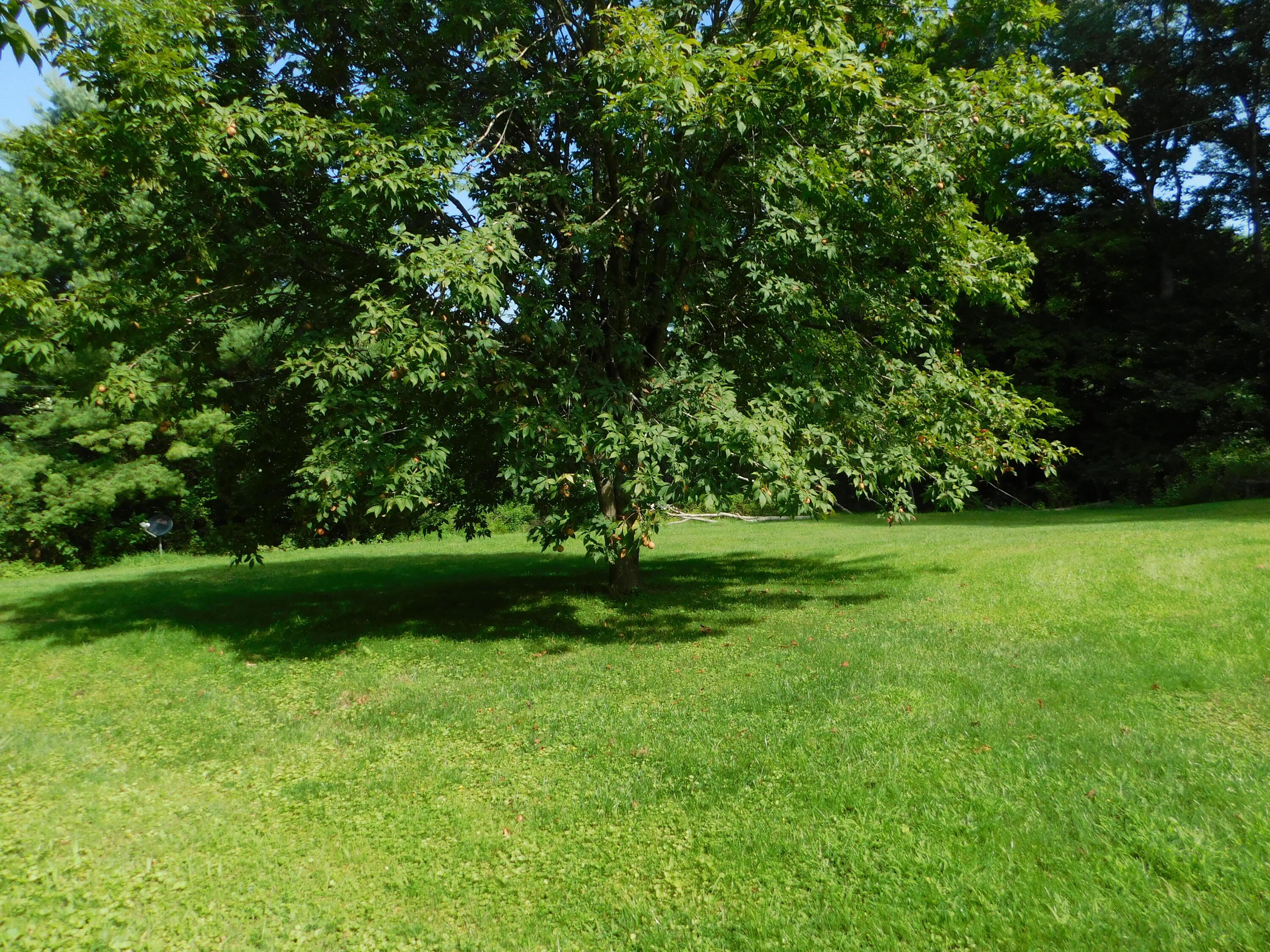 62601 Mcvey Road Property Photo 14