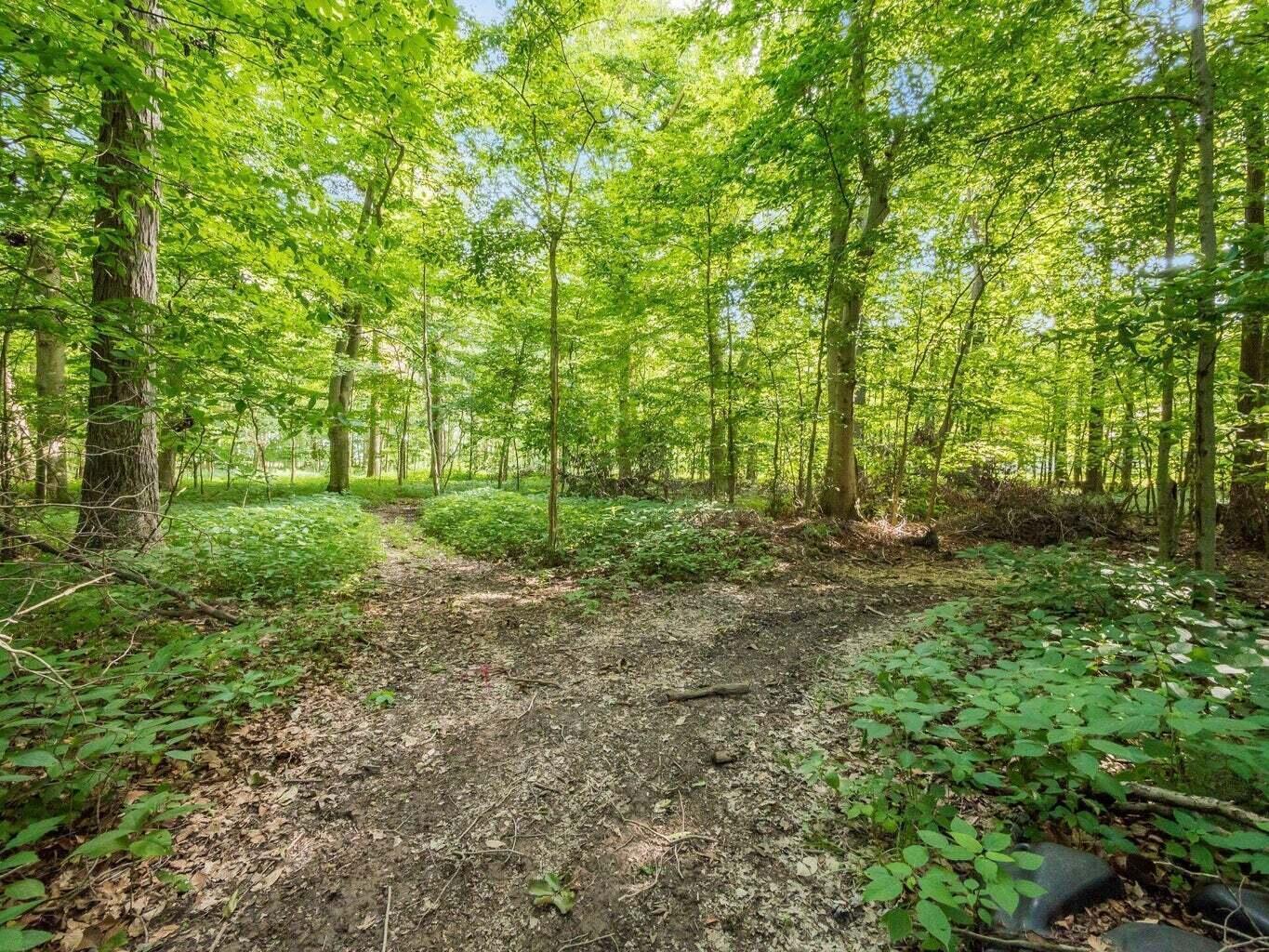 6690 Mccurdy Road Property Photo 52