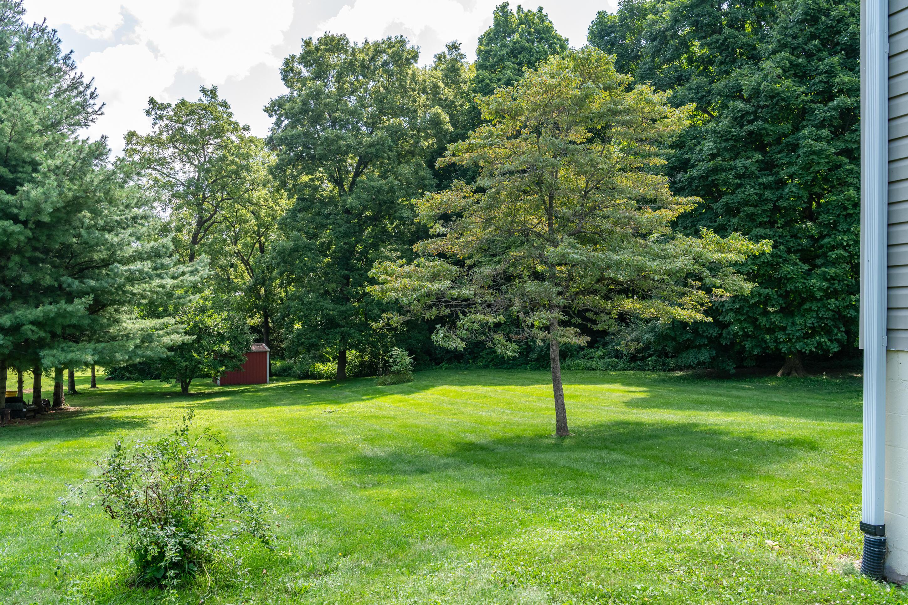 1319 Perry Road Property Photo 13