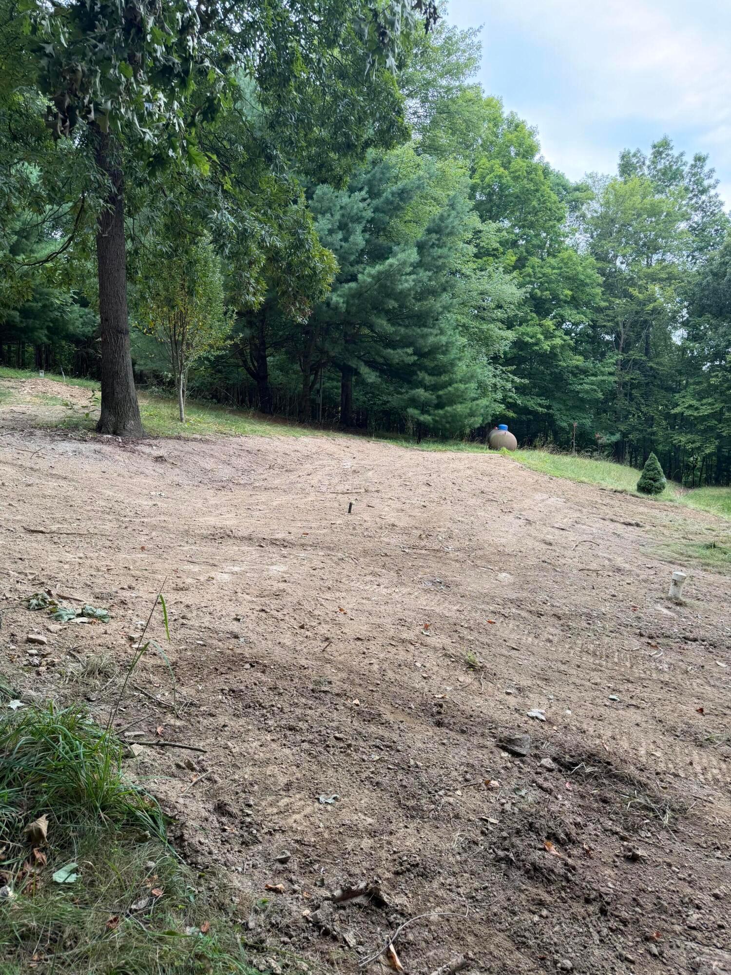 10180 Busenburg Road Property Photo 4