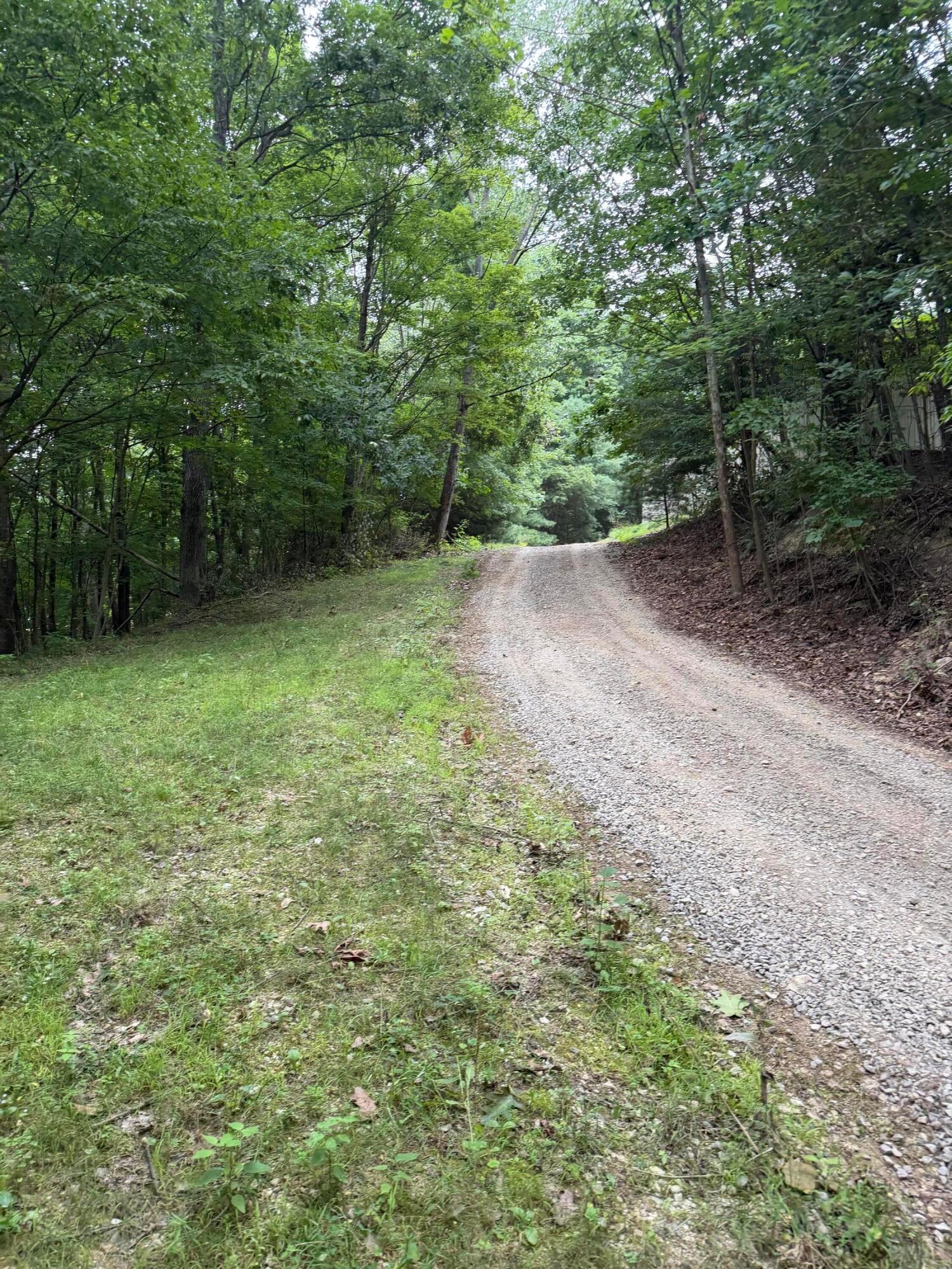 10180 Busenburg Road Property Photo 9
