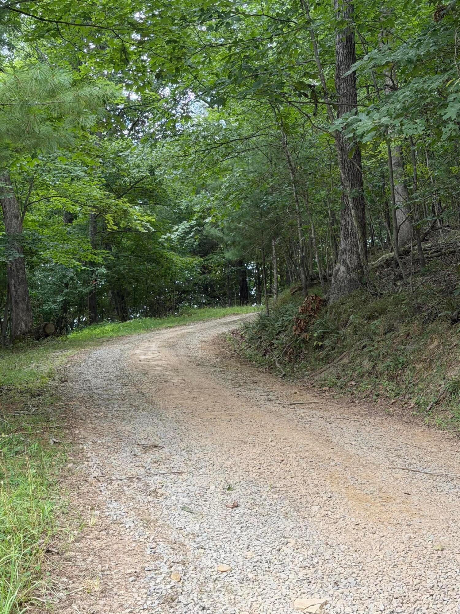 10180 Busenburg Road Property Photo 11