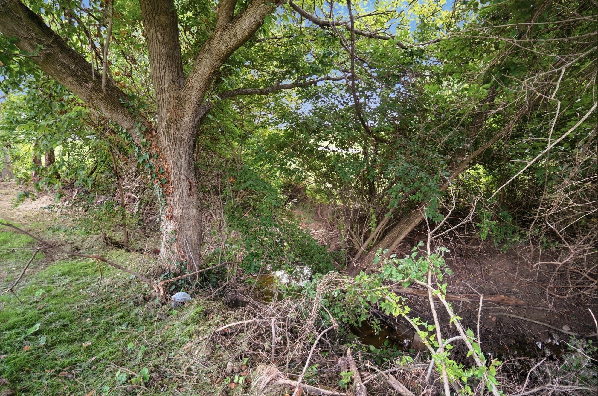 10725 Thrailkill Road Property Photo 68