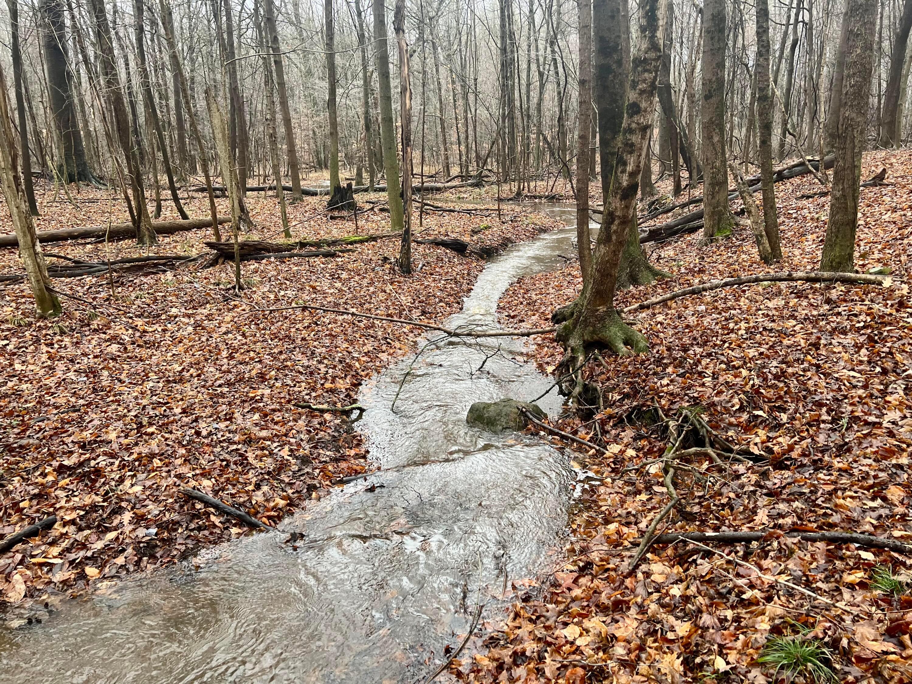 0 State Route 314 Property Photo 12