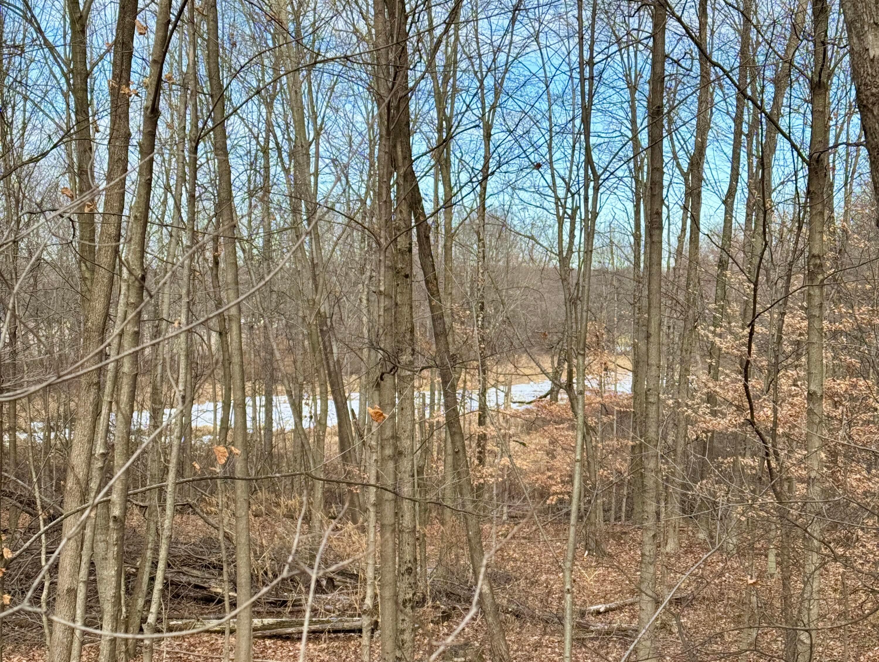 0 State Route 314 Property Photo 13