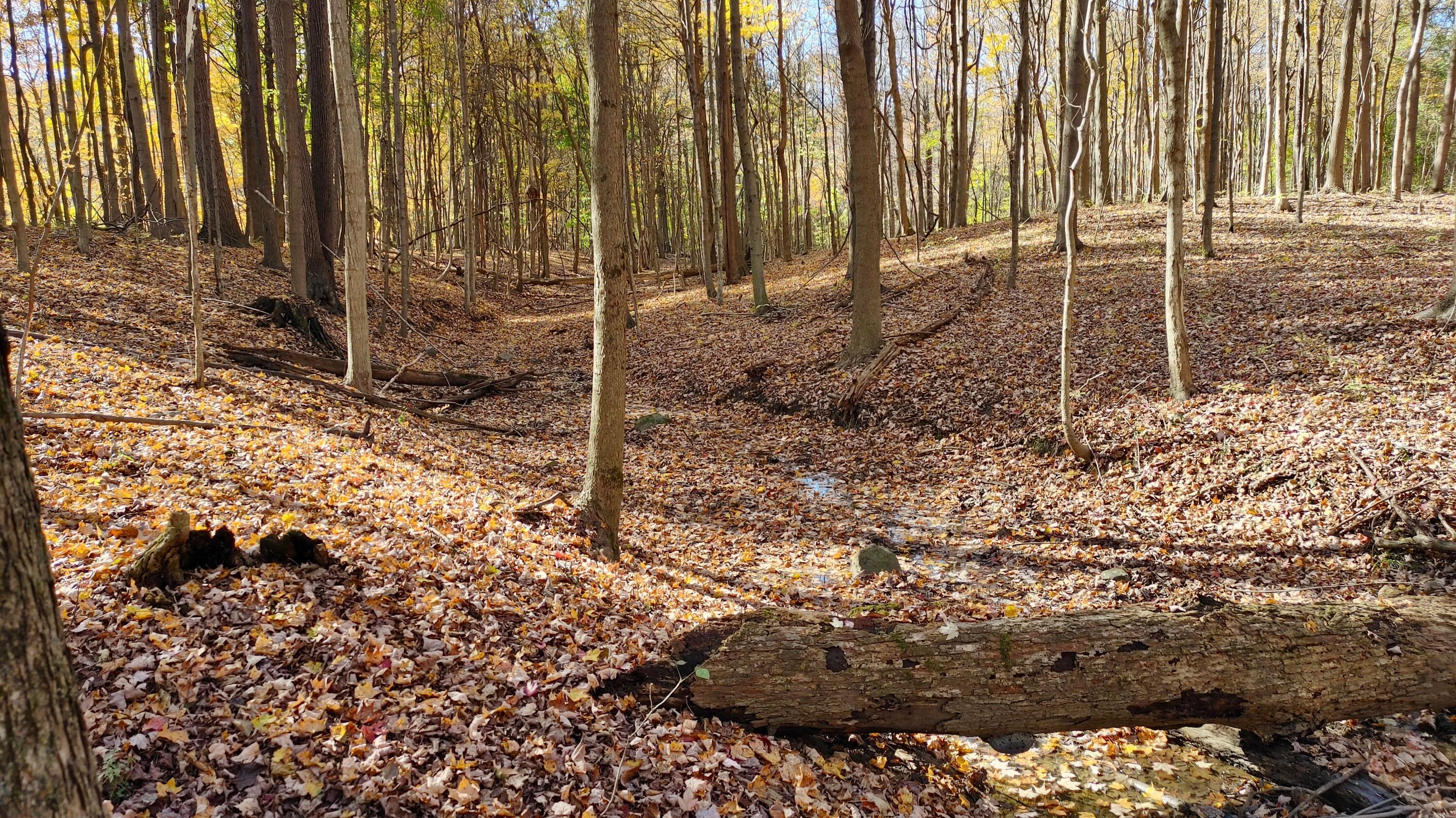 0 State Route 314 Property Photo 14