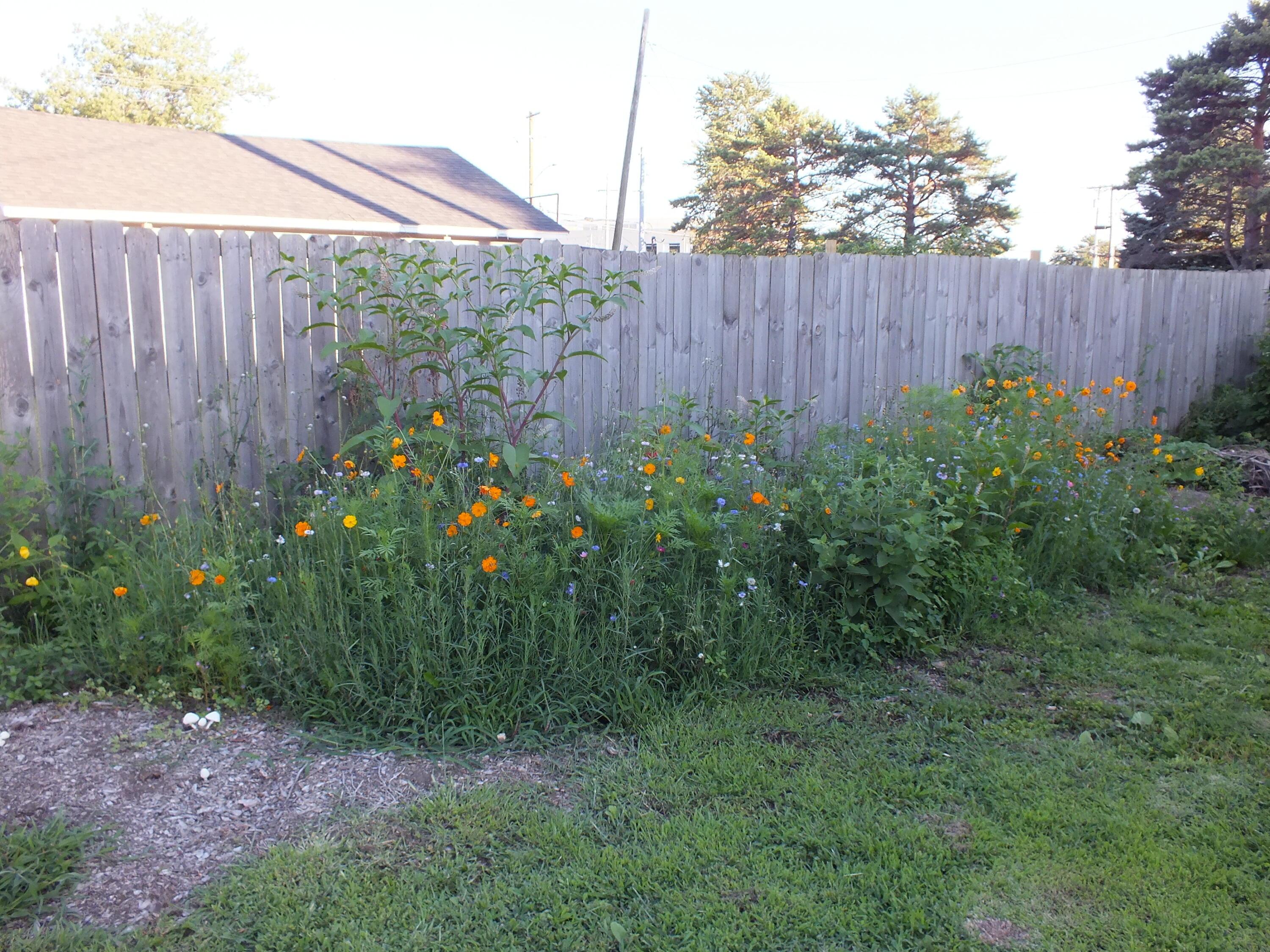 731 Rush Avenue Property Photo 13