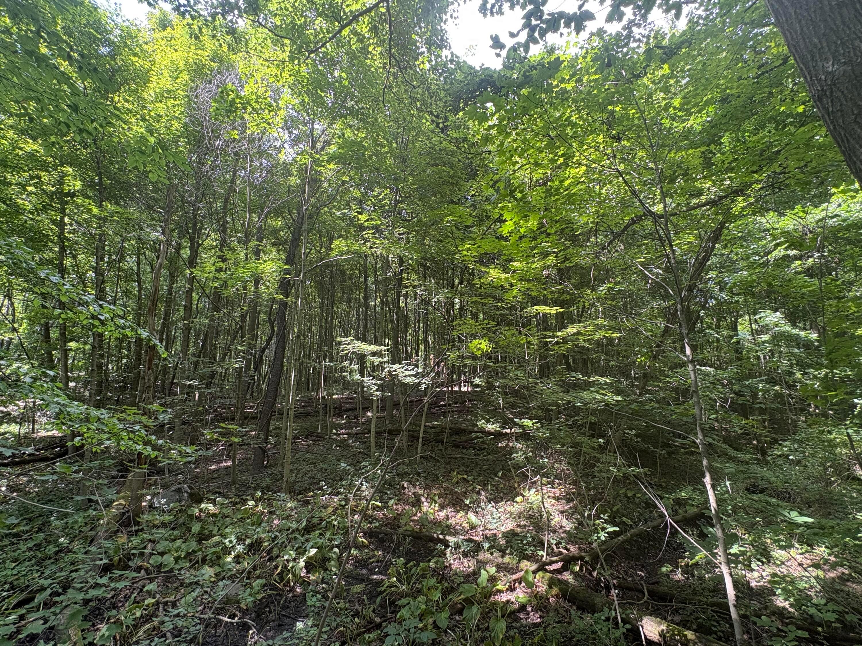 3645 Township Rd 161 Property Photo 1