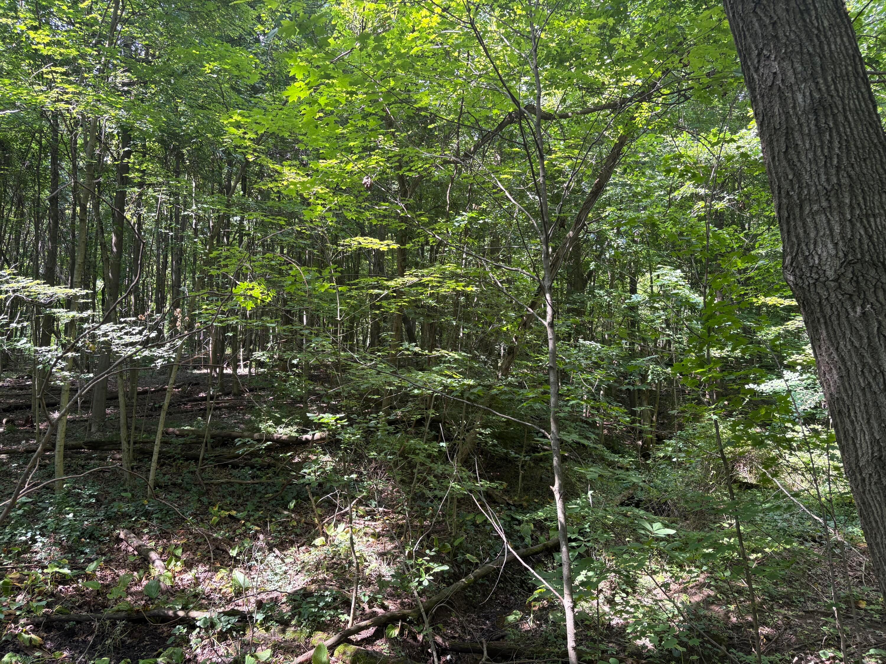3645 Township Rd 161 Property Photo 2