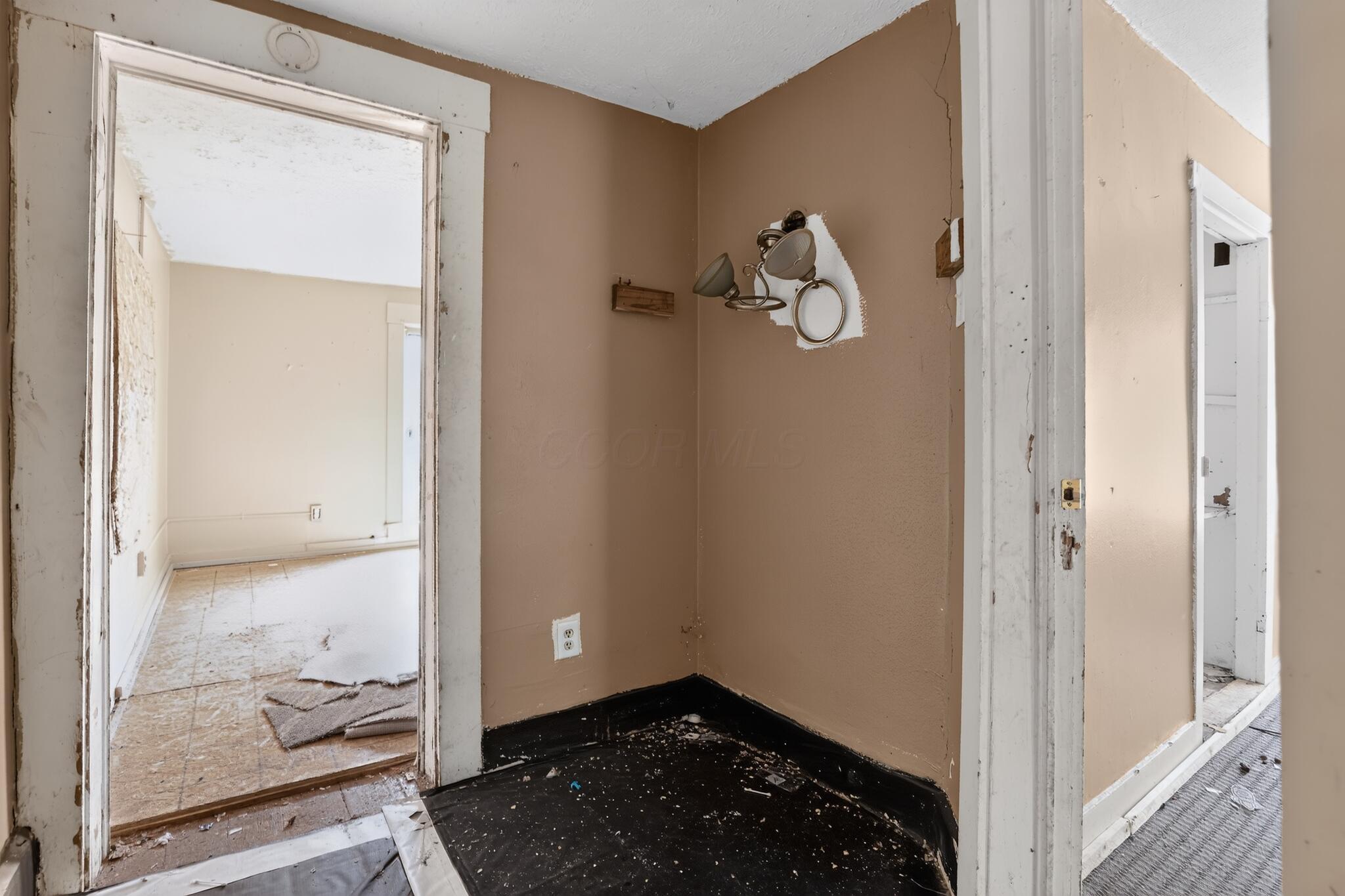 44 Ewing Street Property Photo 15
