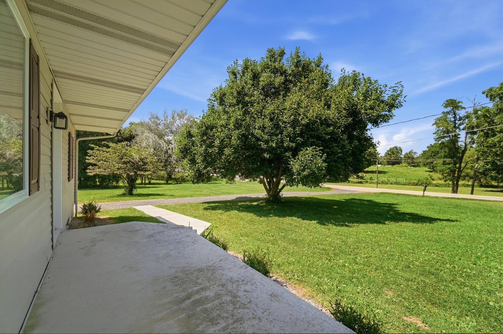 226029446 Property Photo 8