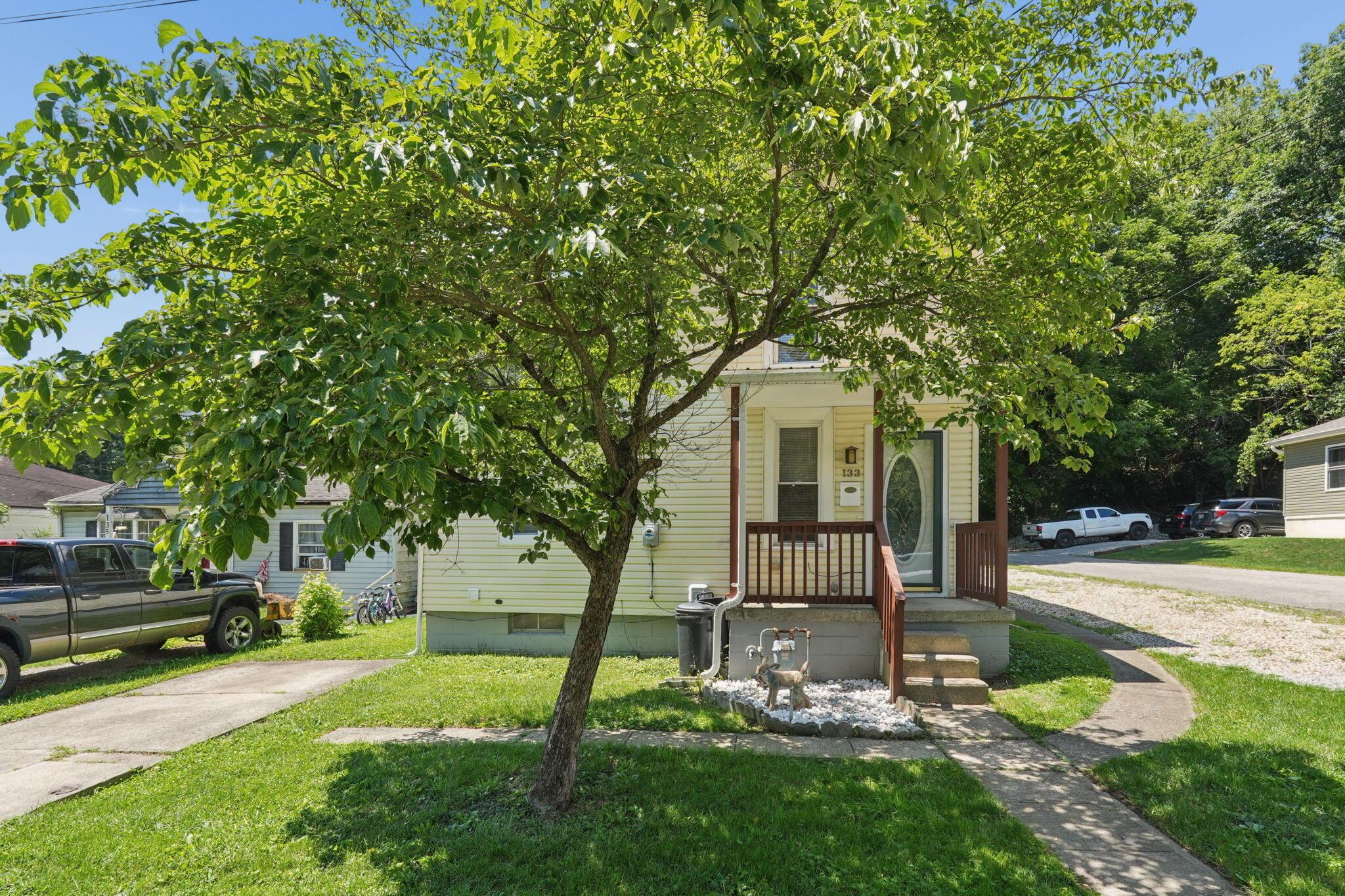 133 Arney Avenue Property Photo 2
