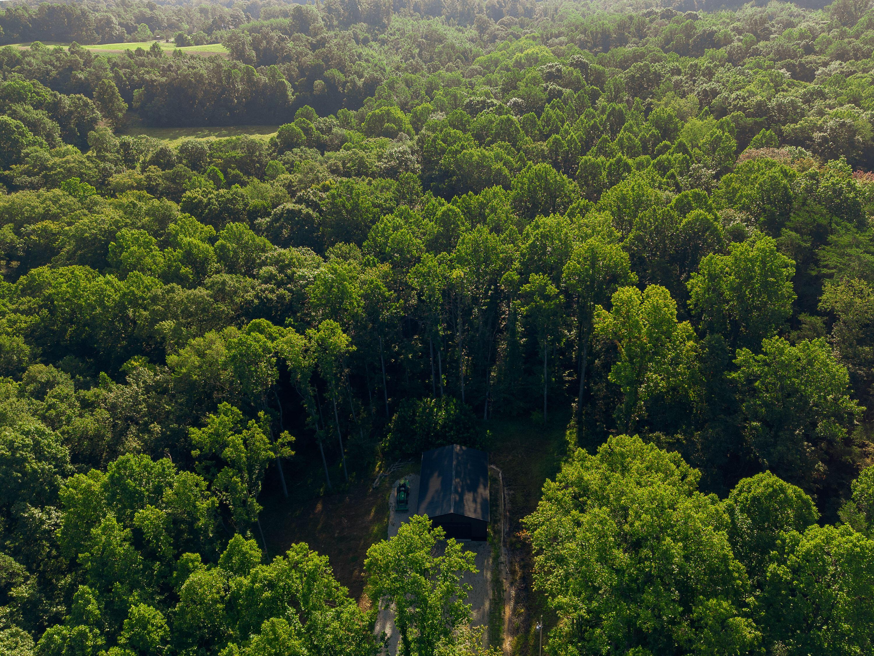 13312 Jake Tom Road Property Photo 7