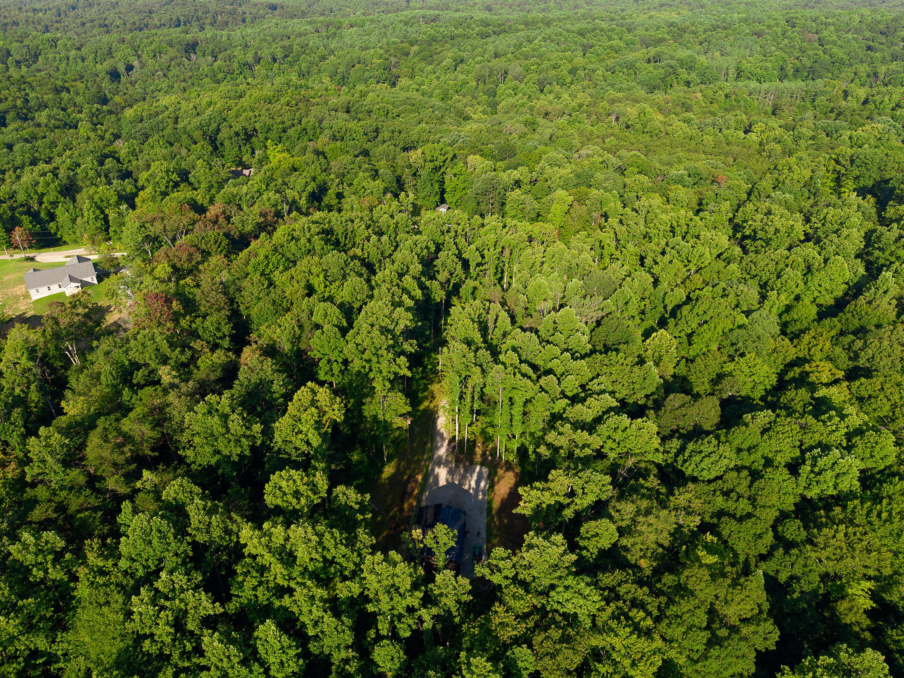 13312 Jake Tom Road Property Photo 20