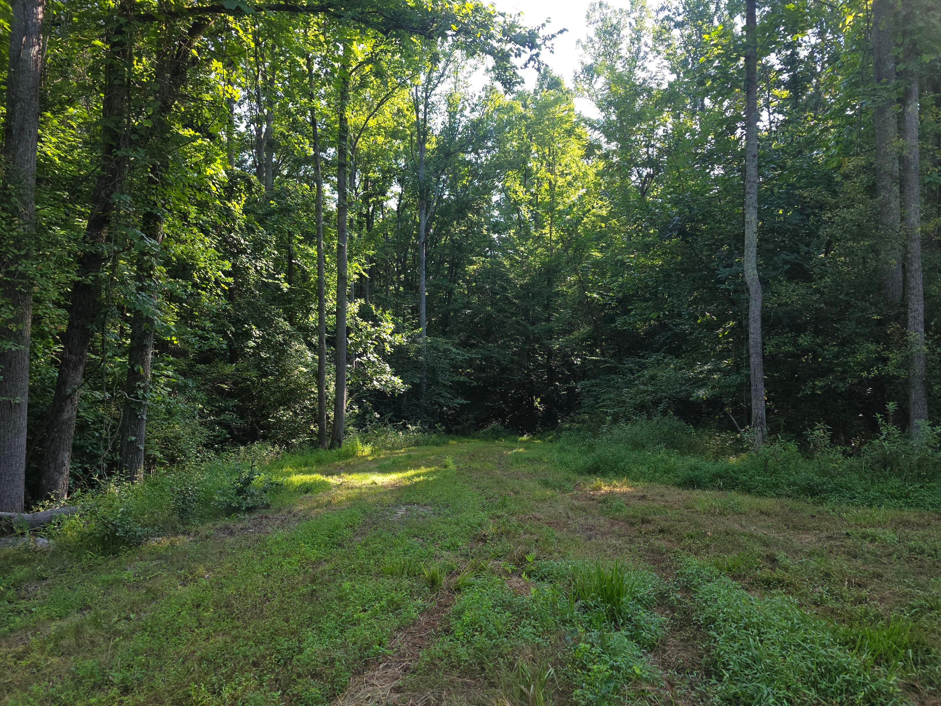 13312 Jake Tom Road Property Photo 21