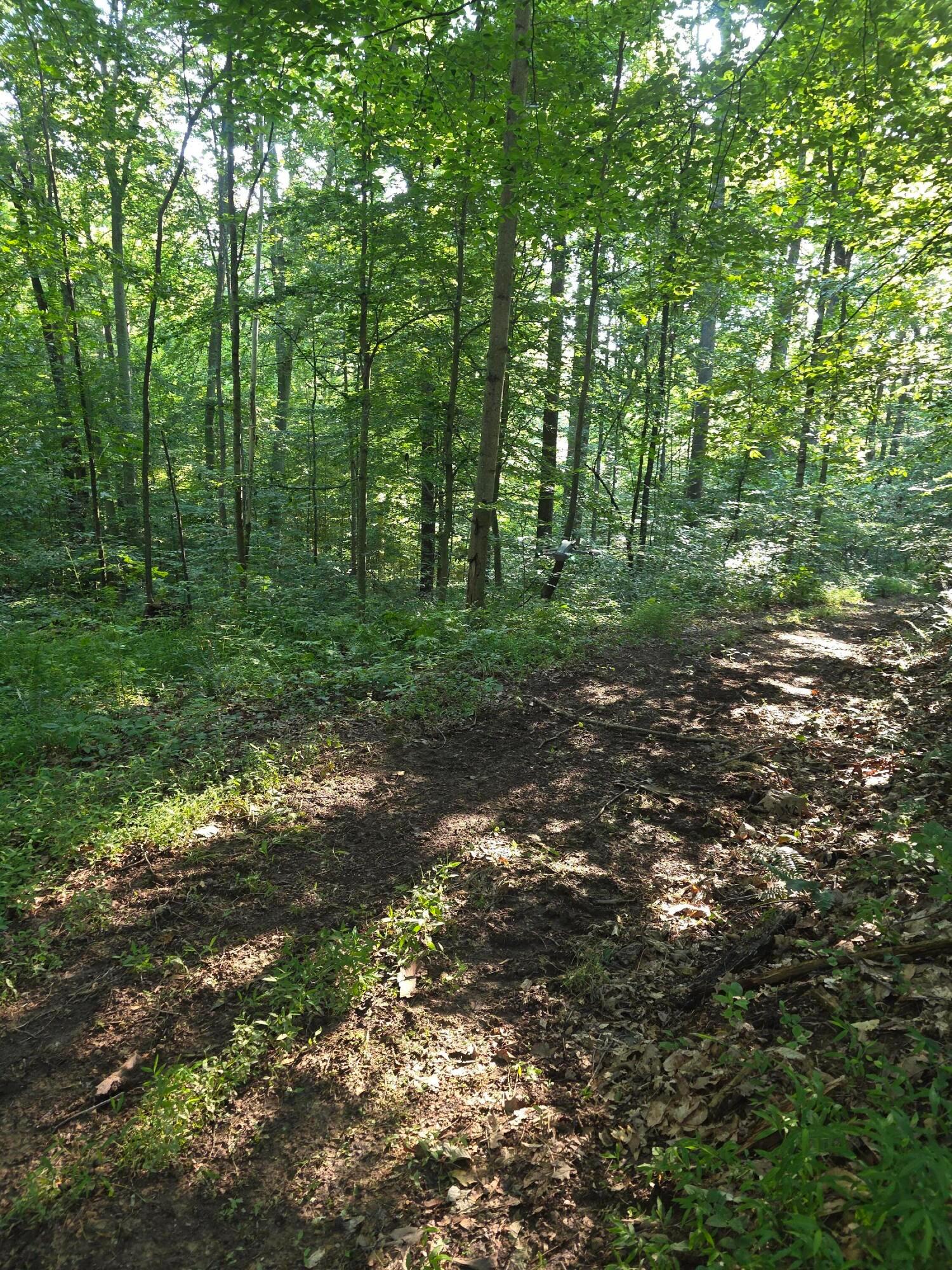 13312 Jake Tom Road Property Photo 22