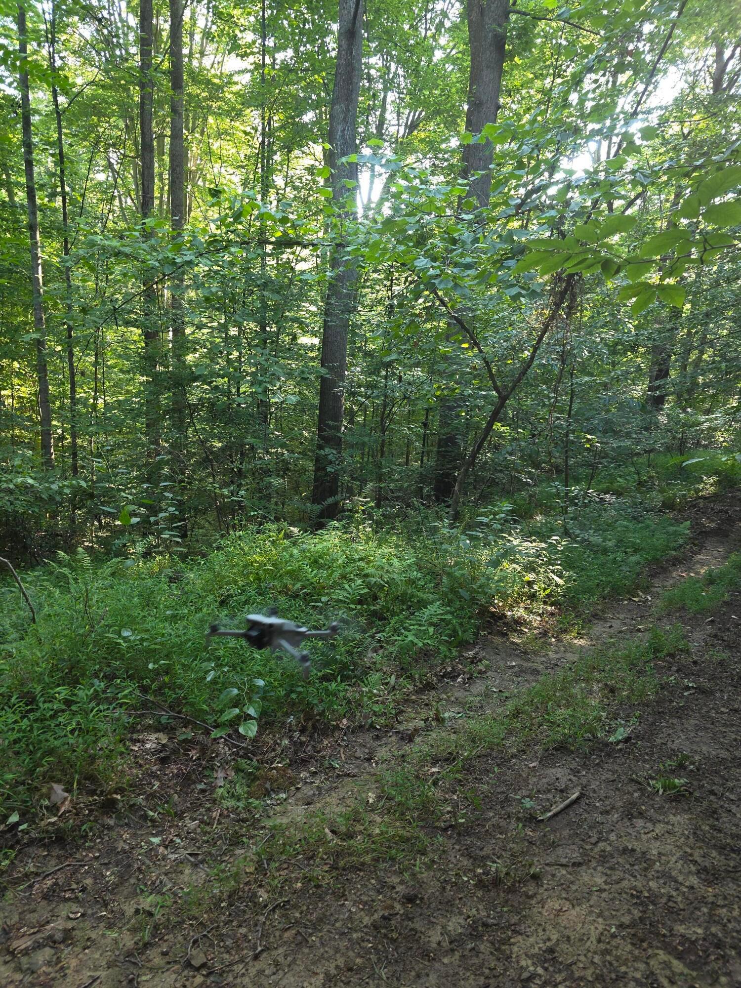 13312 Jake Tom Road Property Photo 23