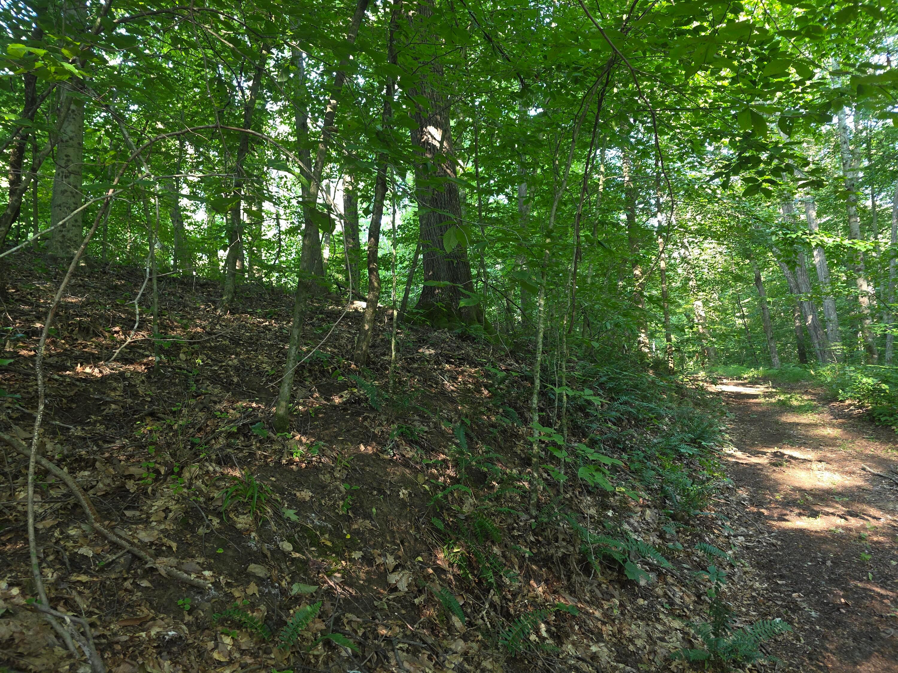 13312 Jake Tom Road Property Photo 24