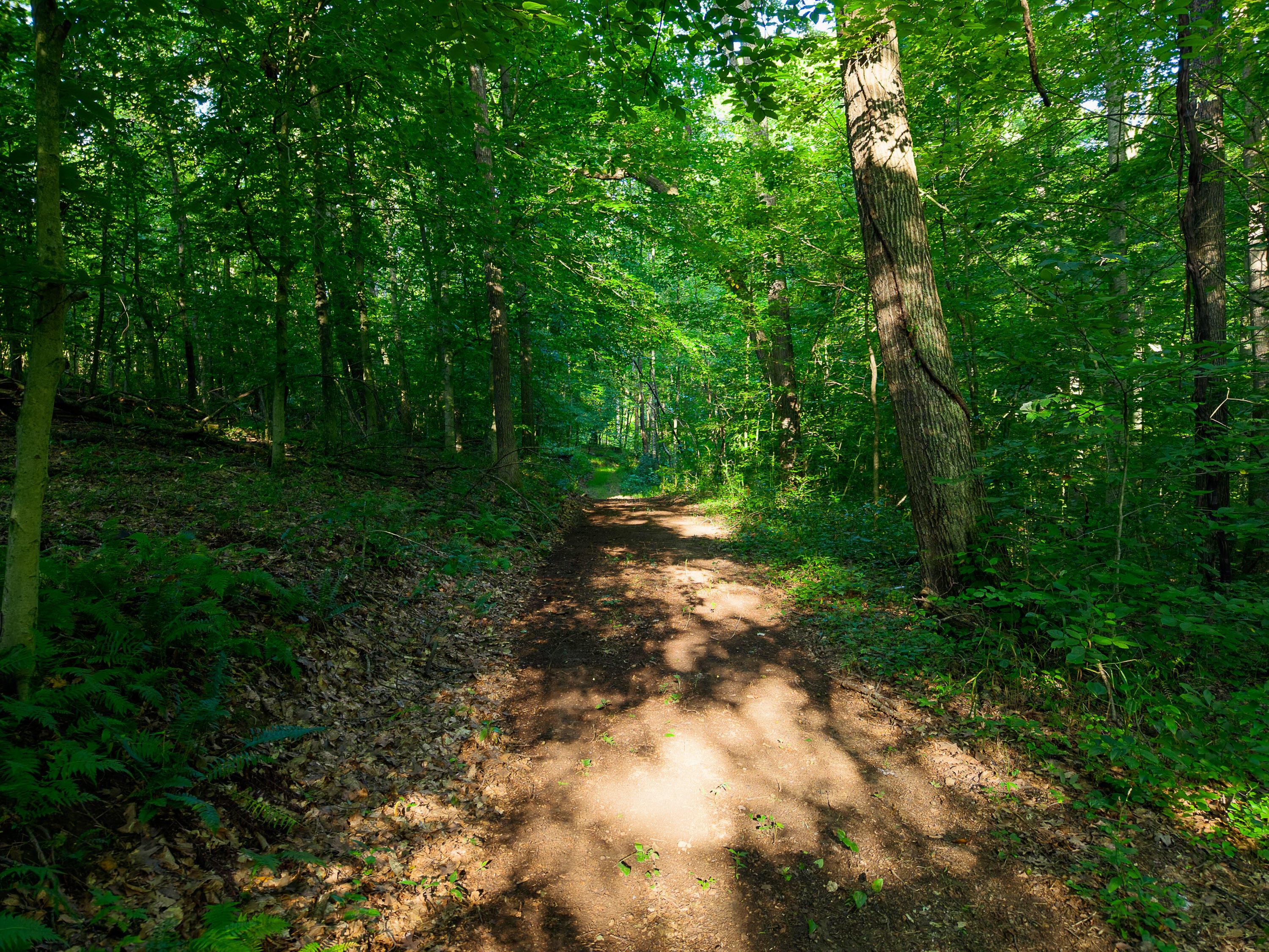13312 Jake Tom Road Property Photo 26